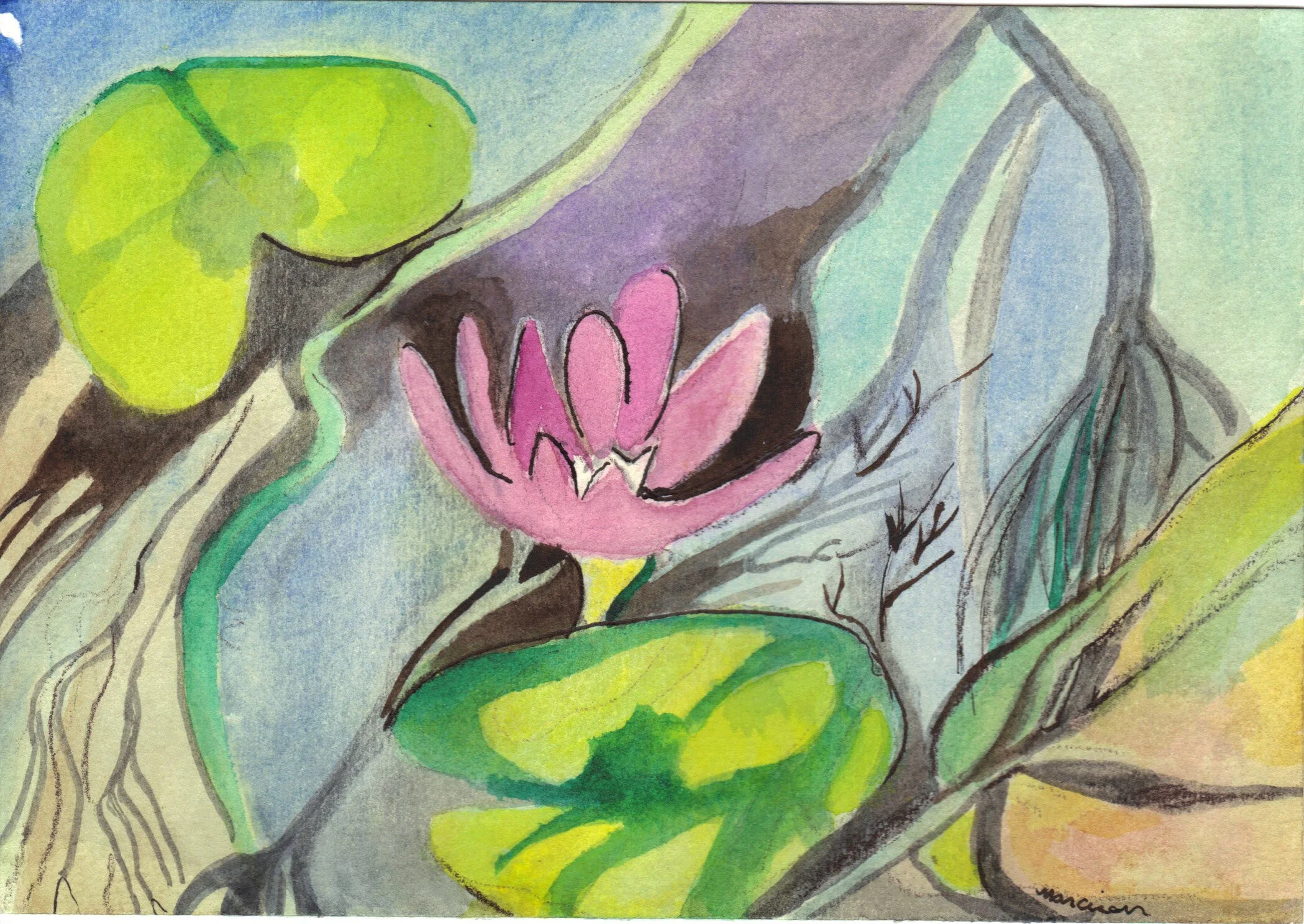 "Lotus & Lilly" 2014, Watercolor on paper