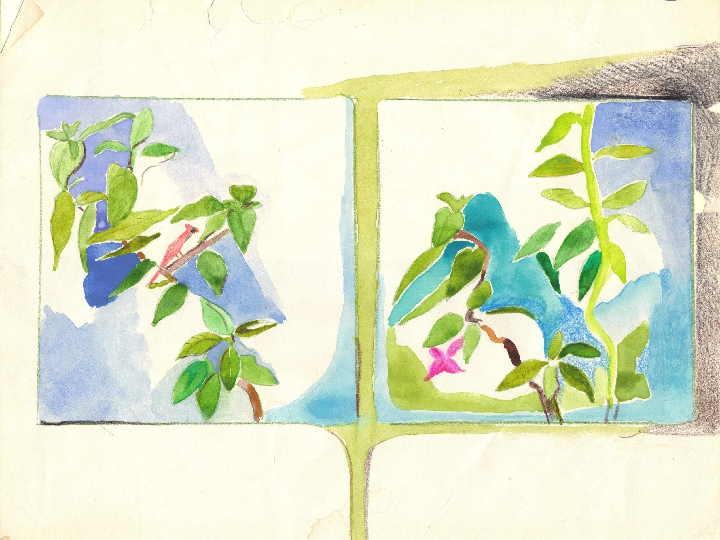 "Delicate Cardinal" 1990's, Watercolor & colored pencil on paper