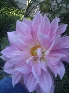 1295733700909 2.jpeg