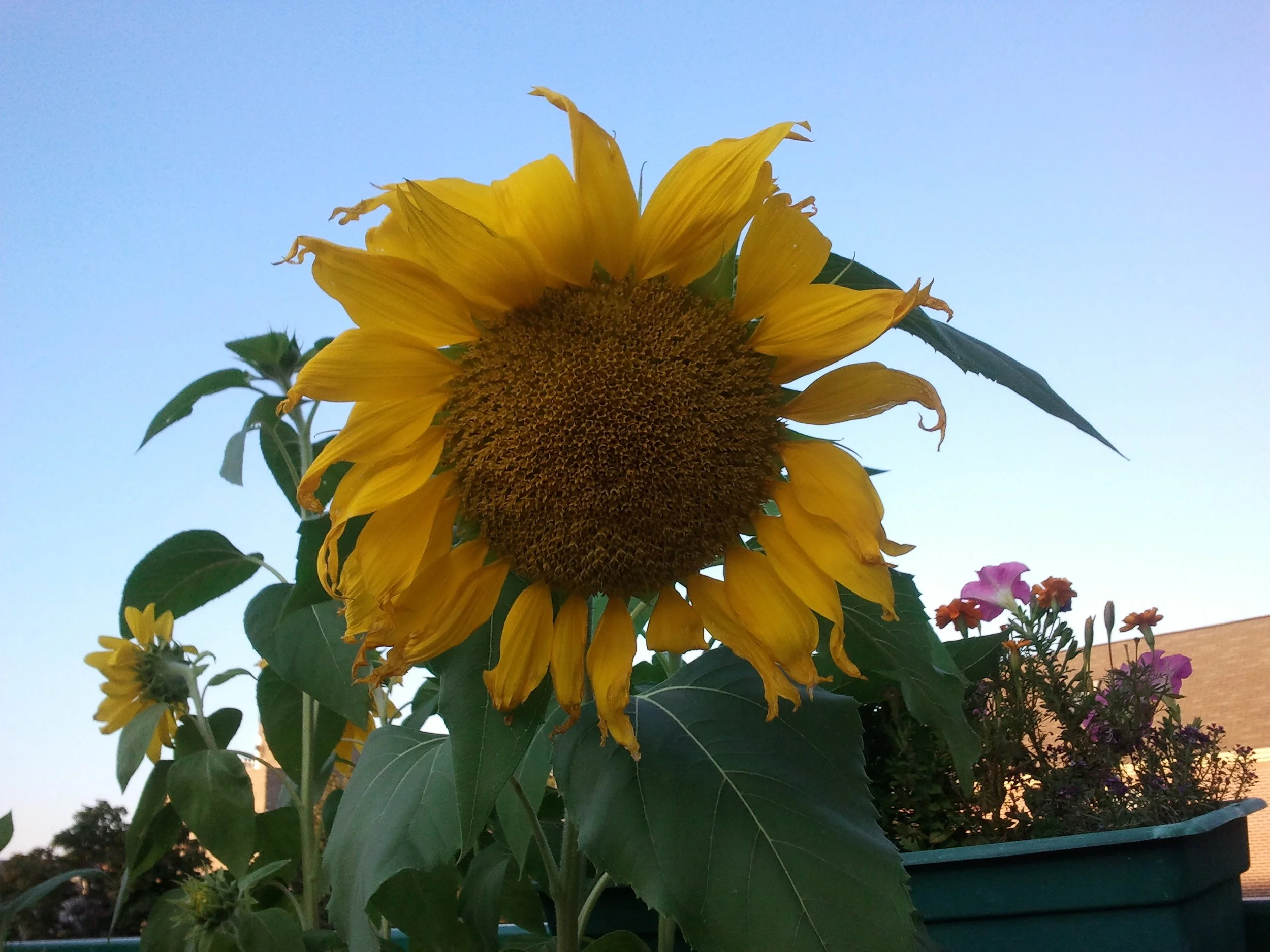 2011-09-11 18.26.33.jpeg