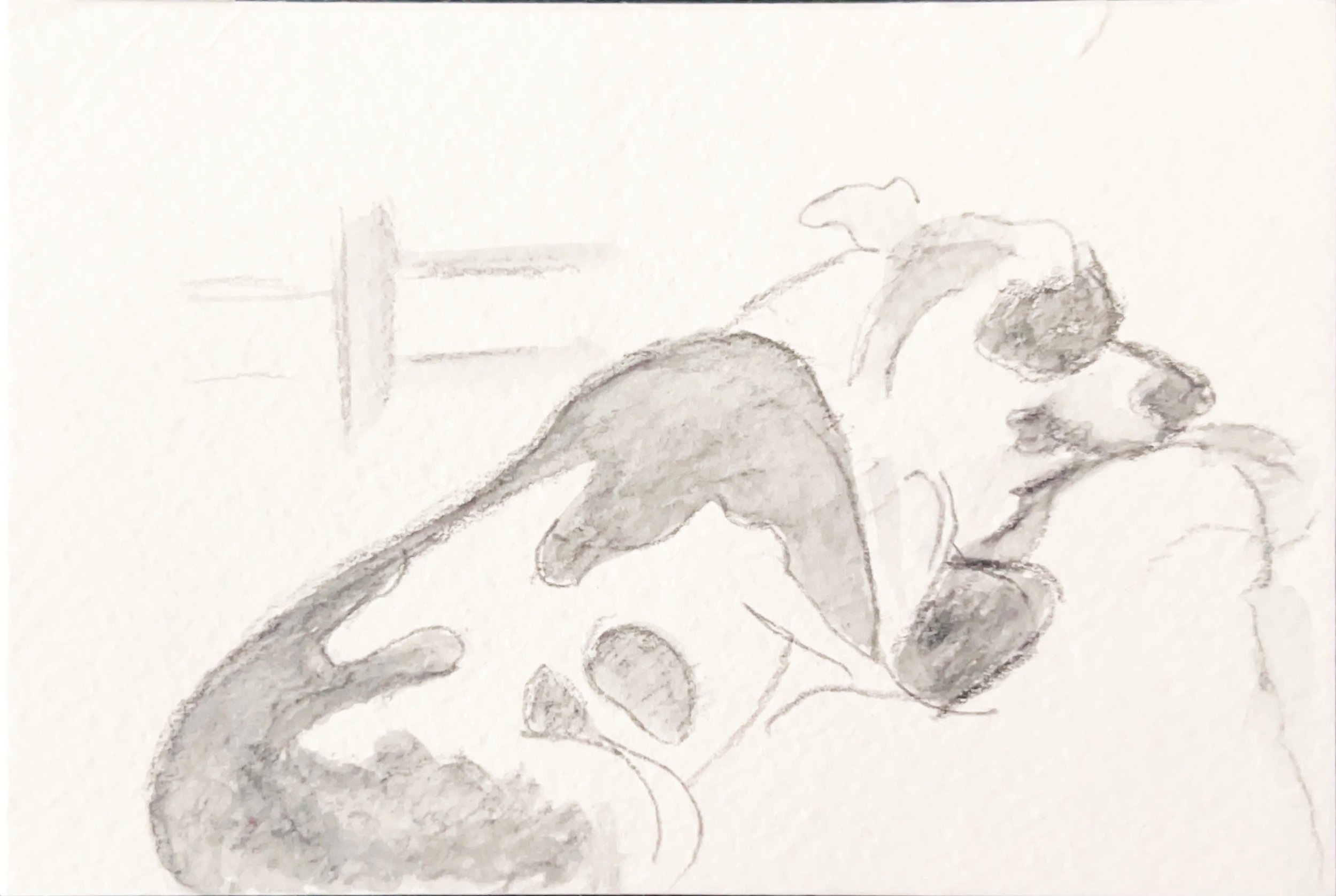 "Lucy My Best Friend Returned to God" 2024, Pencil & watercolor on paper