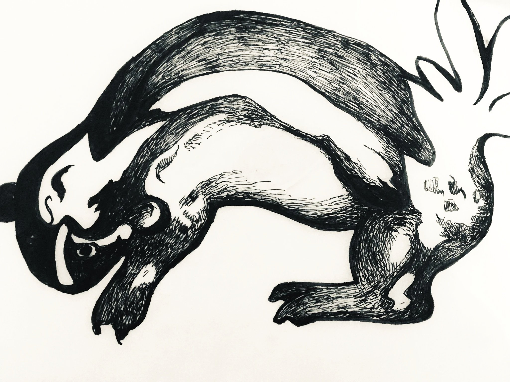 "Mr. Skunk" 1990's, Pen on paper, From field museum, Chicago Collection