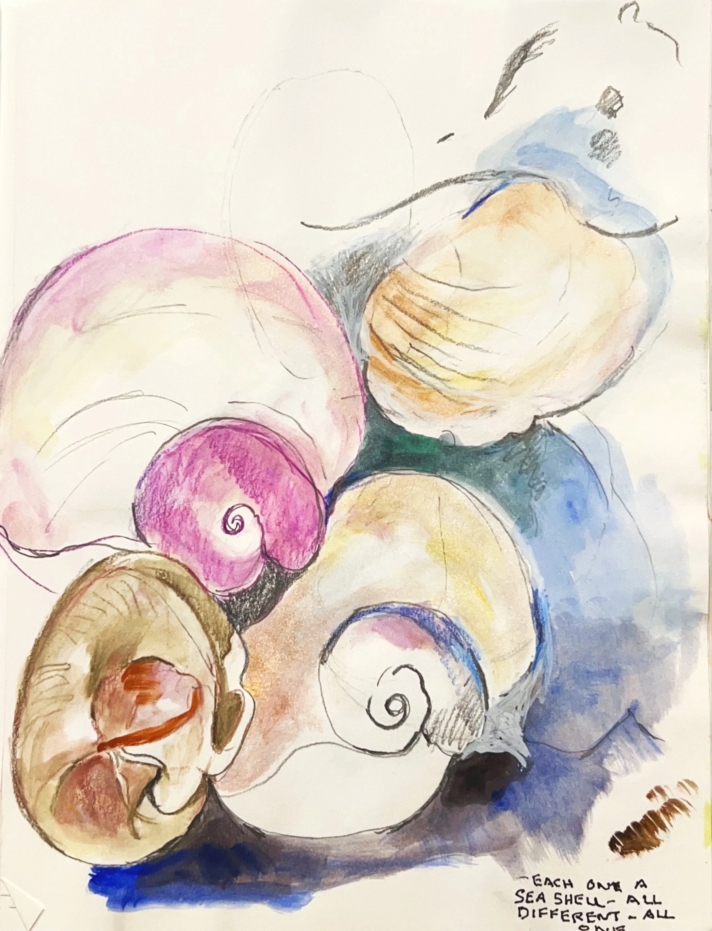 "Each One a Sea Shell" (Date), Pencil and watercolor on paper