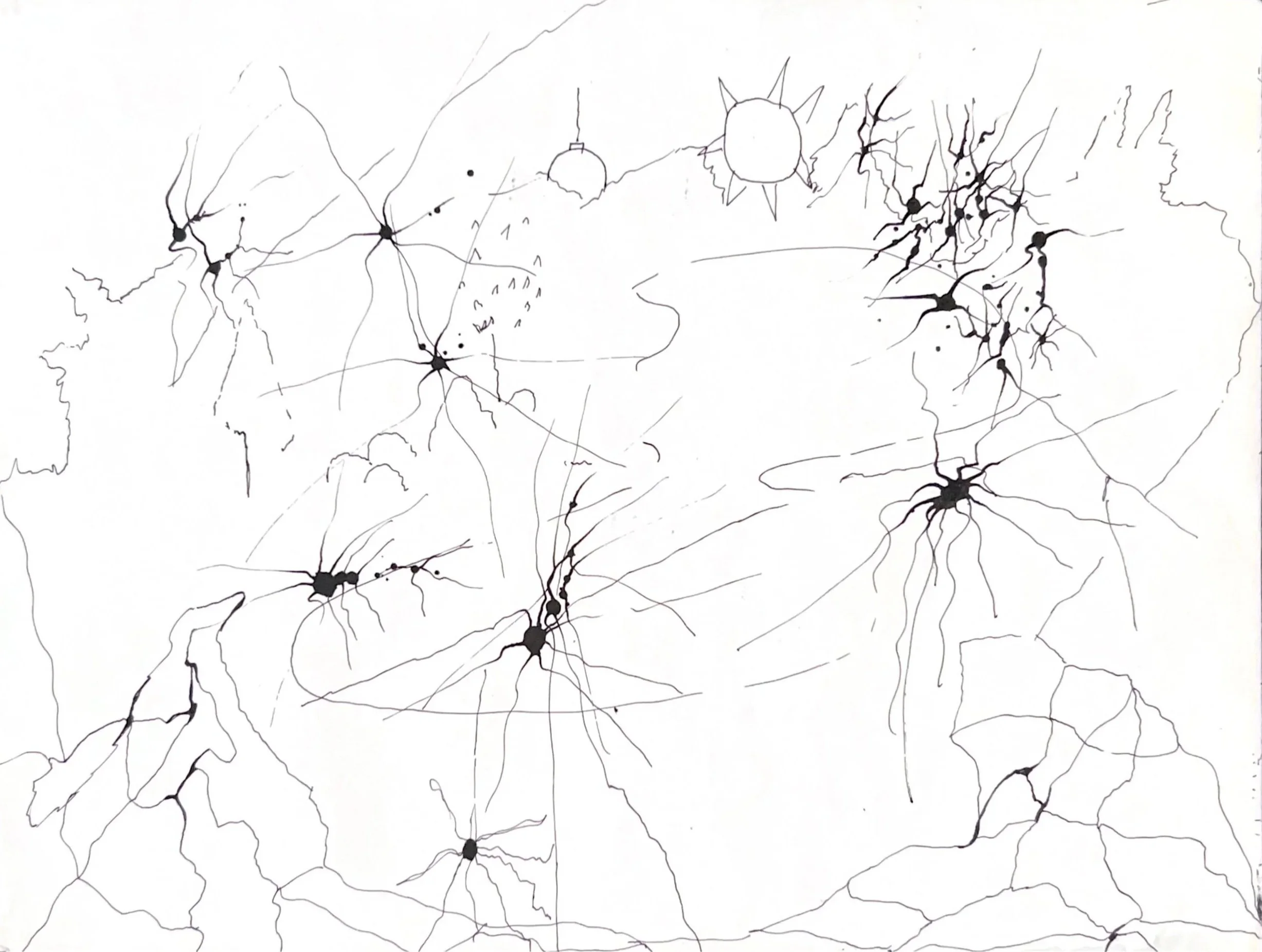 Spider Spinning Her Web On My Porch, 2018, Ink on paper