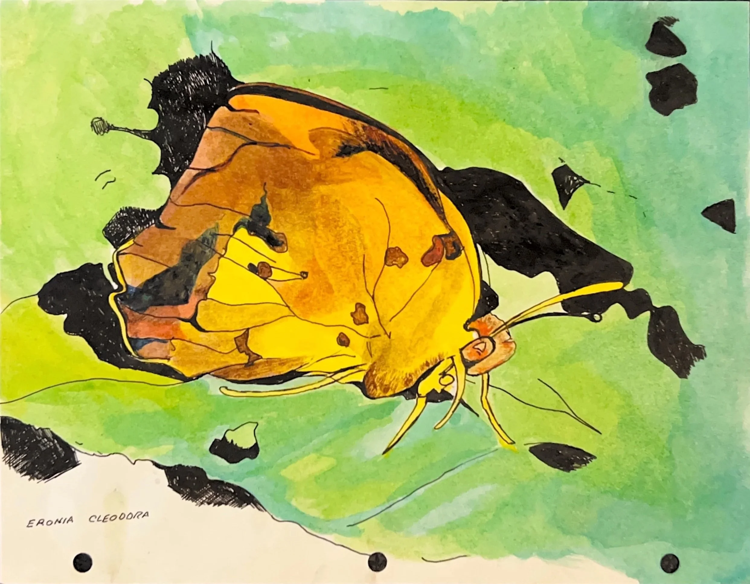 Eronia Cleoddora, 1980's, Acrylic on paper