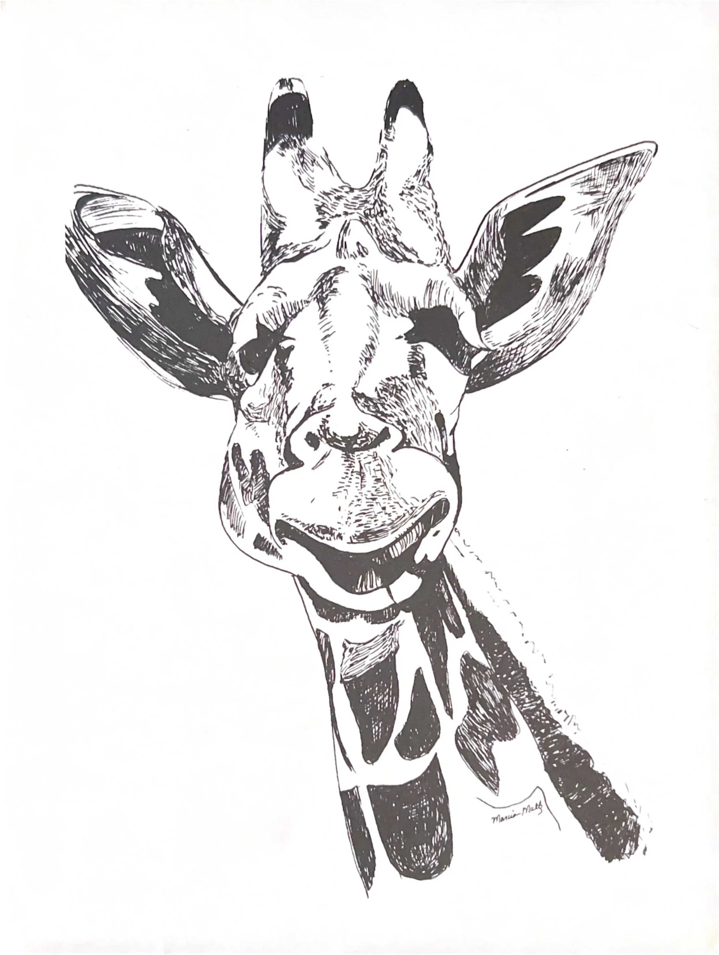 Lithograph Giraffe, 1978, Lithograph print on paper