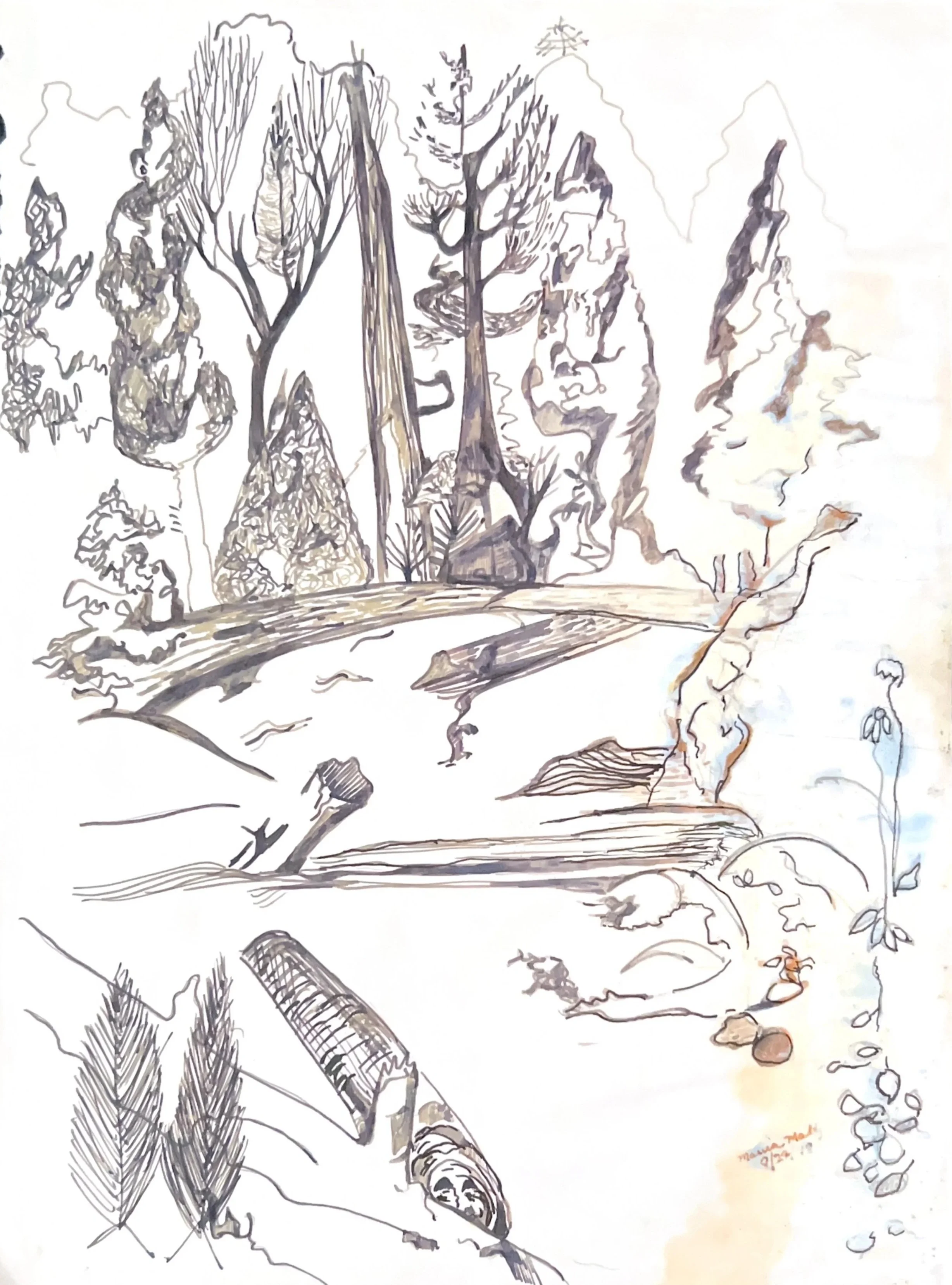 Scenic Ink, 1970’s, Ink on paper, Santa Fe NM