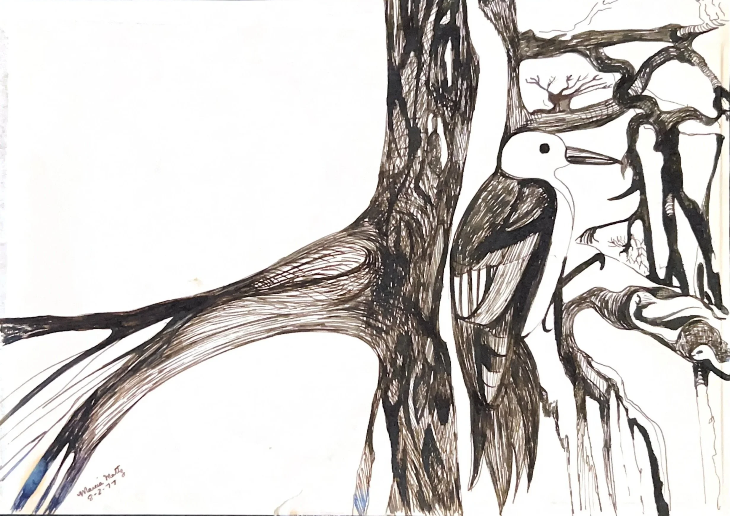 The Woodpecker, 8/2/77, Ink on paper