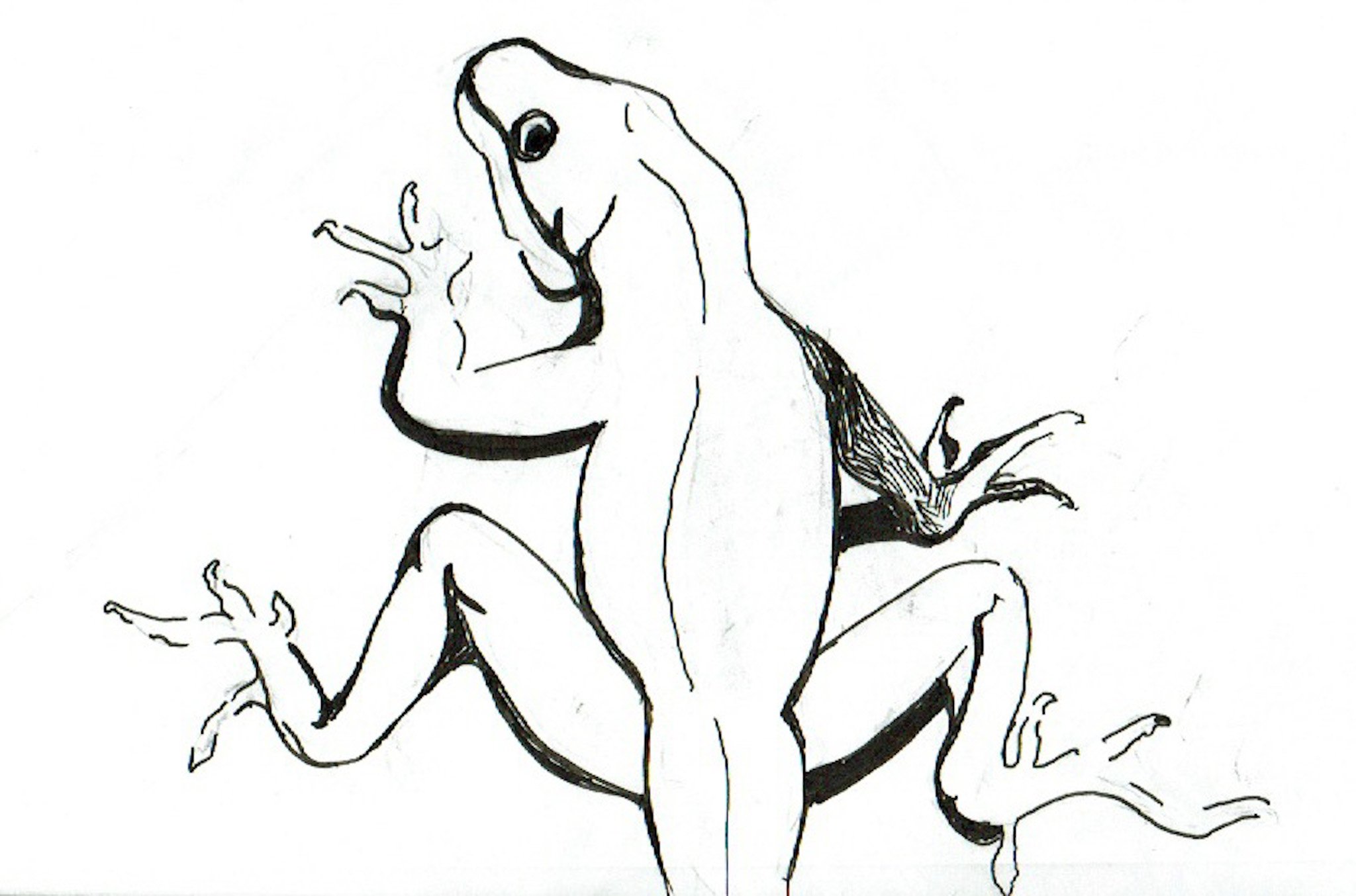 "Lizard 1" 2019, Pen on paper