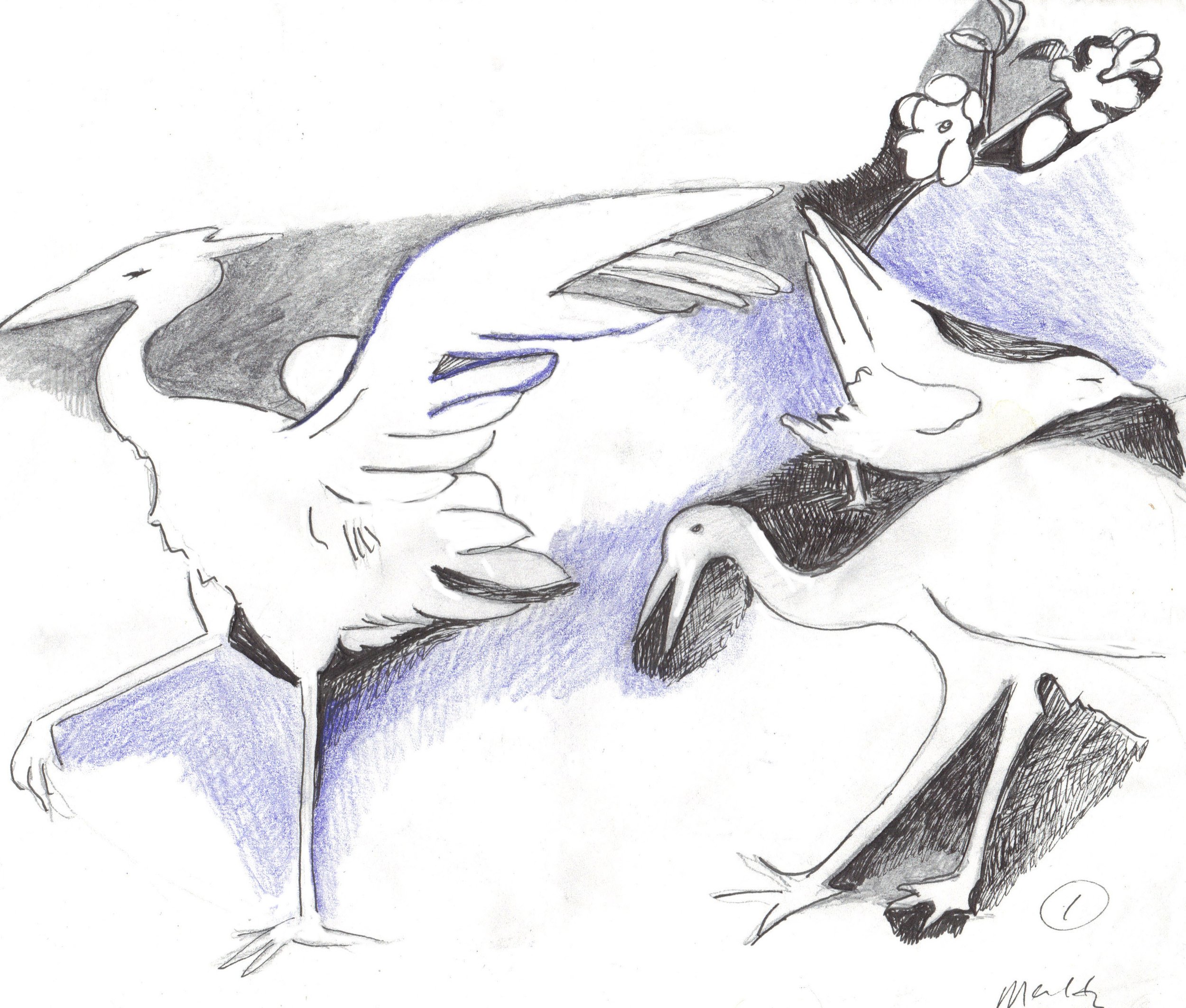 "Cranes" 2012, Colored pencil on paper