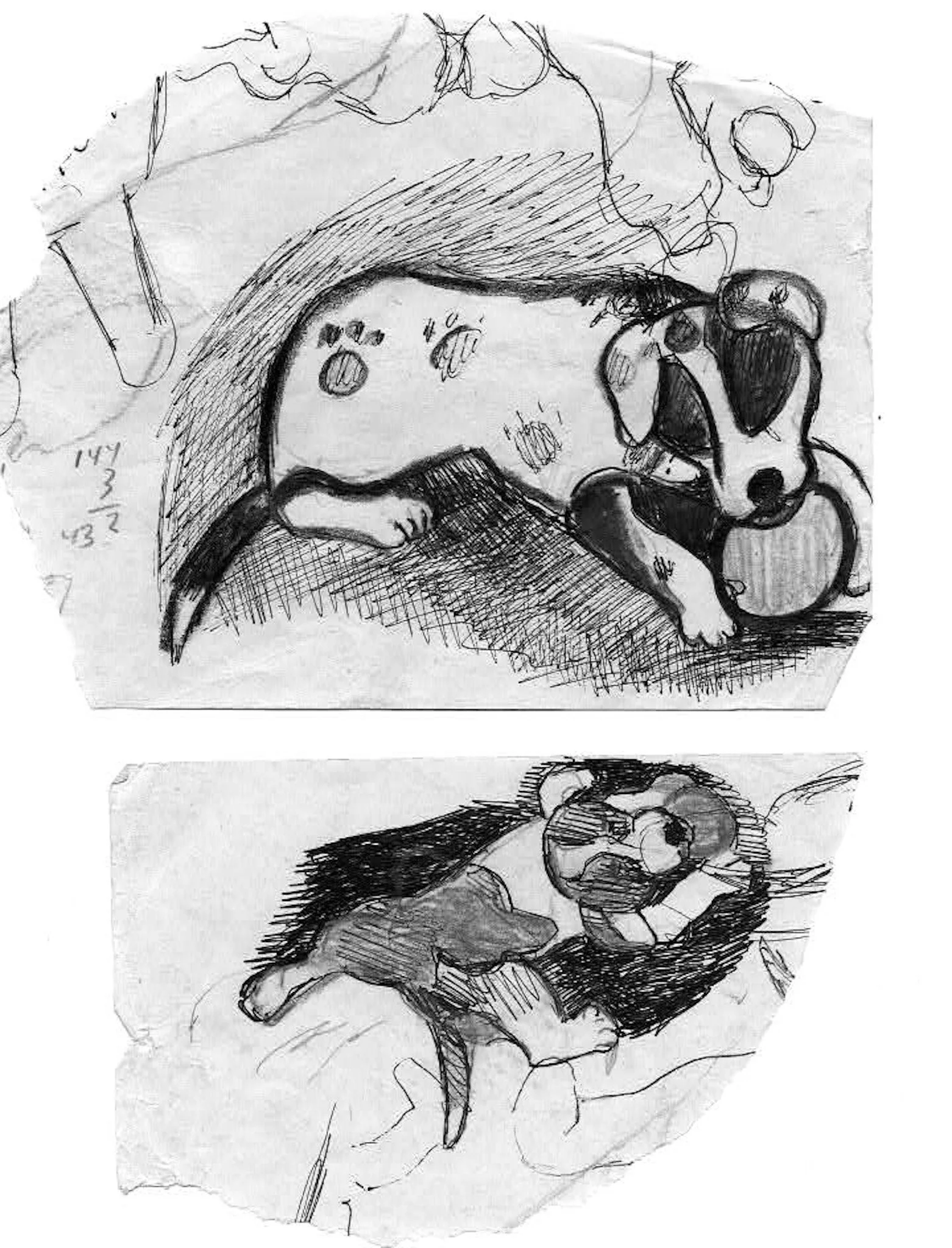 "Lucy's Heart Coat" 2010, Pen and Ink on paper