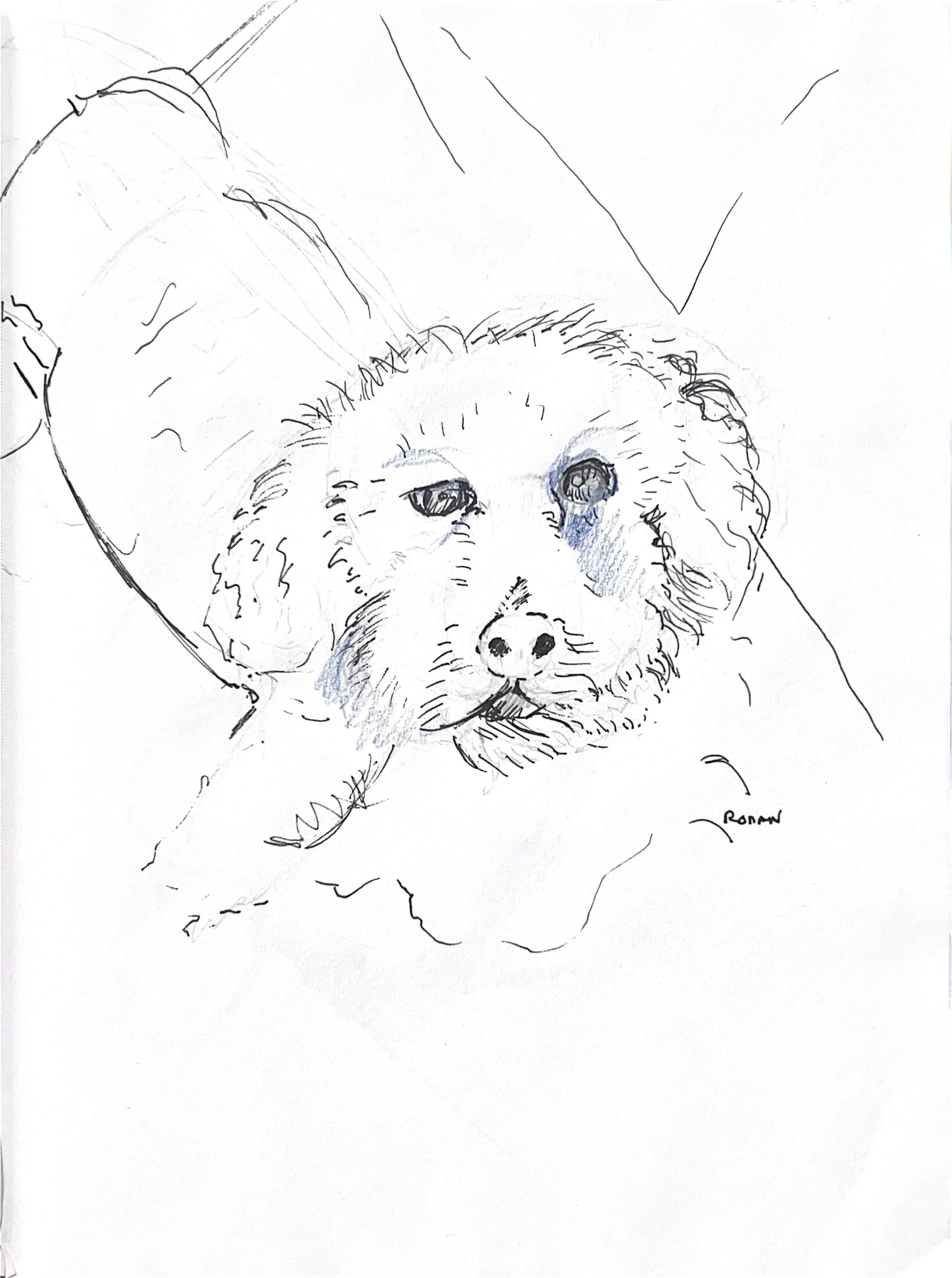 "Ronan" 2023, Pen on paper