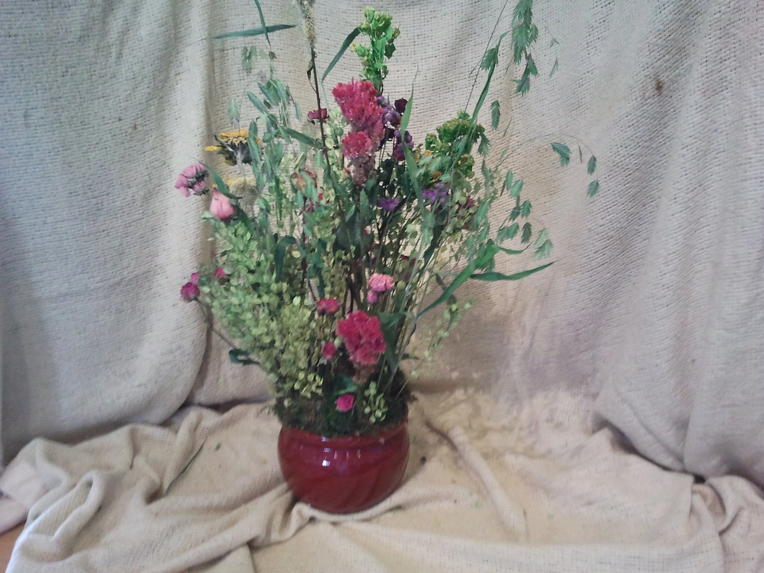 2011-08-31 15.07.04.jpeg