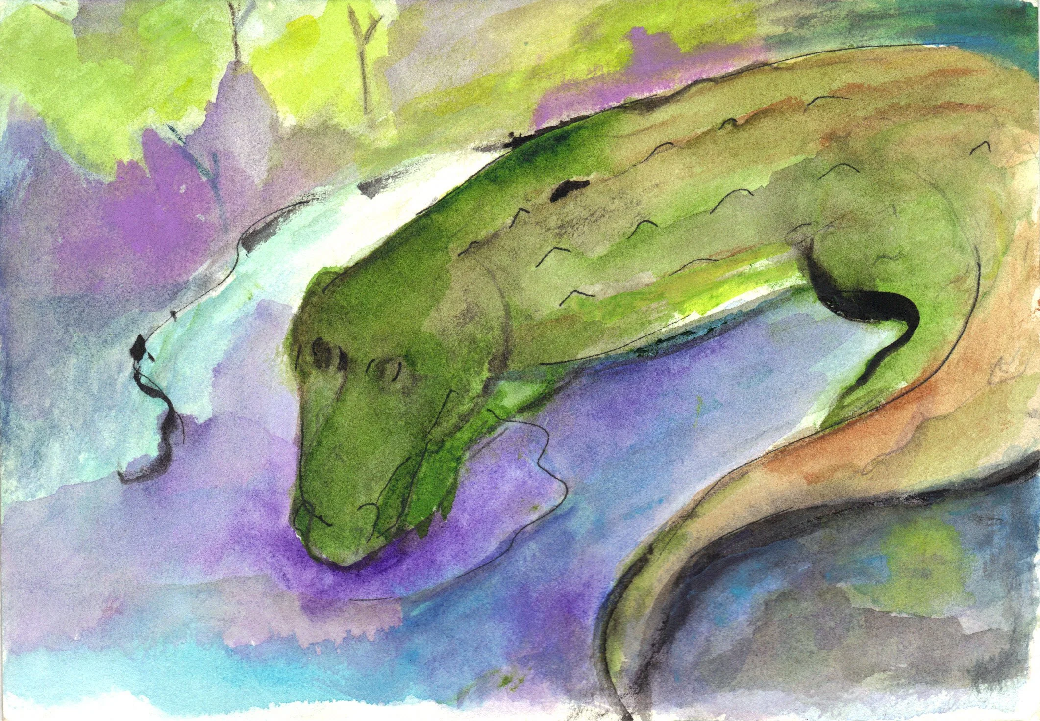"Hey There Alligator" 2014, Watercolor on paper