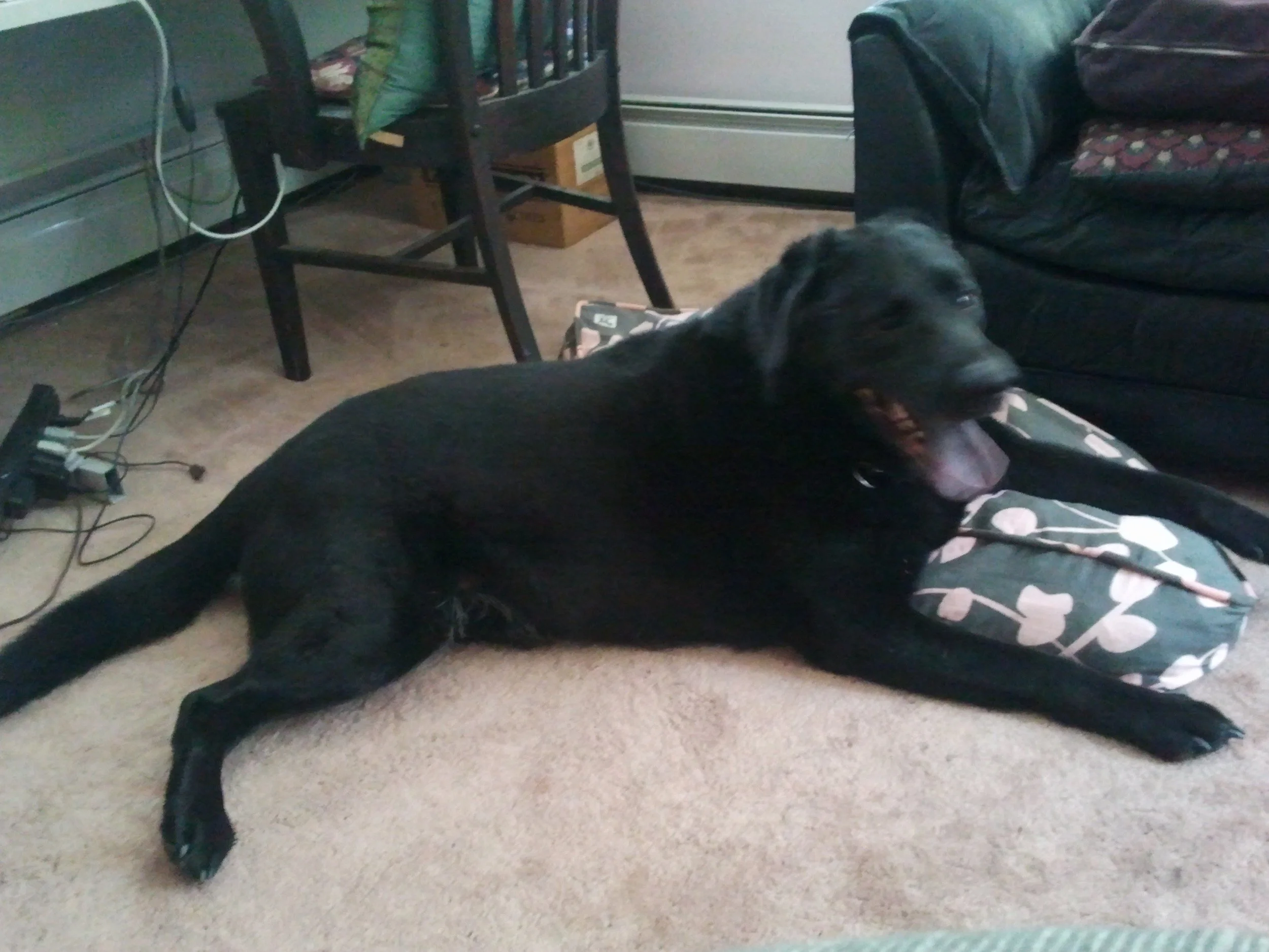 2012-05-12 10.16.52.jpeg