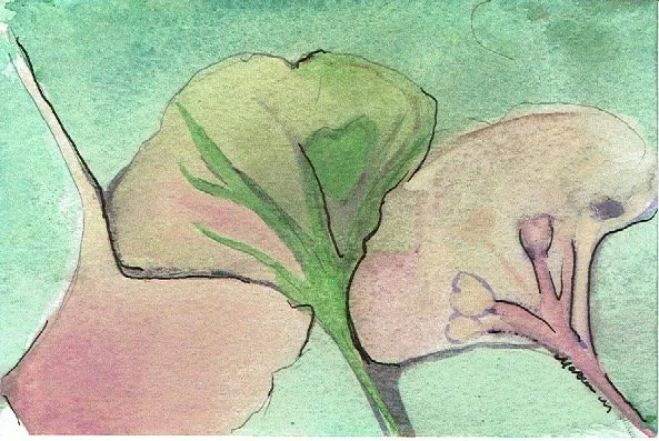 "Ginko" 2021, Watercolor on paper