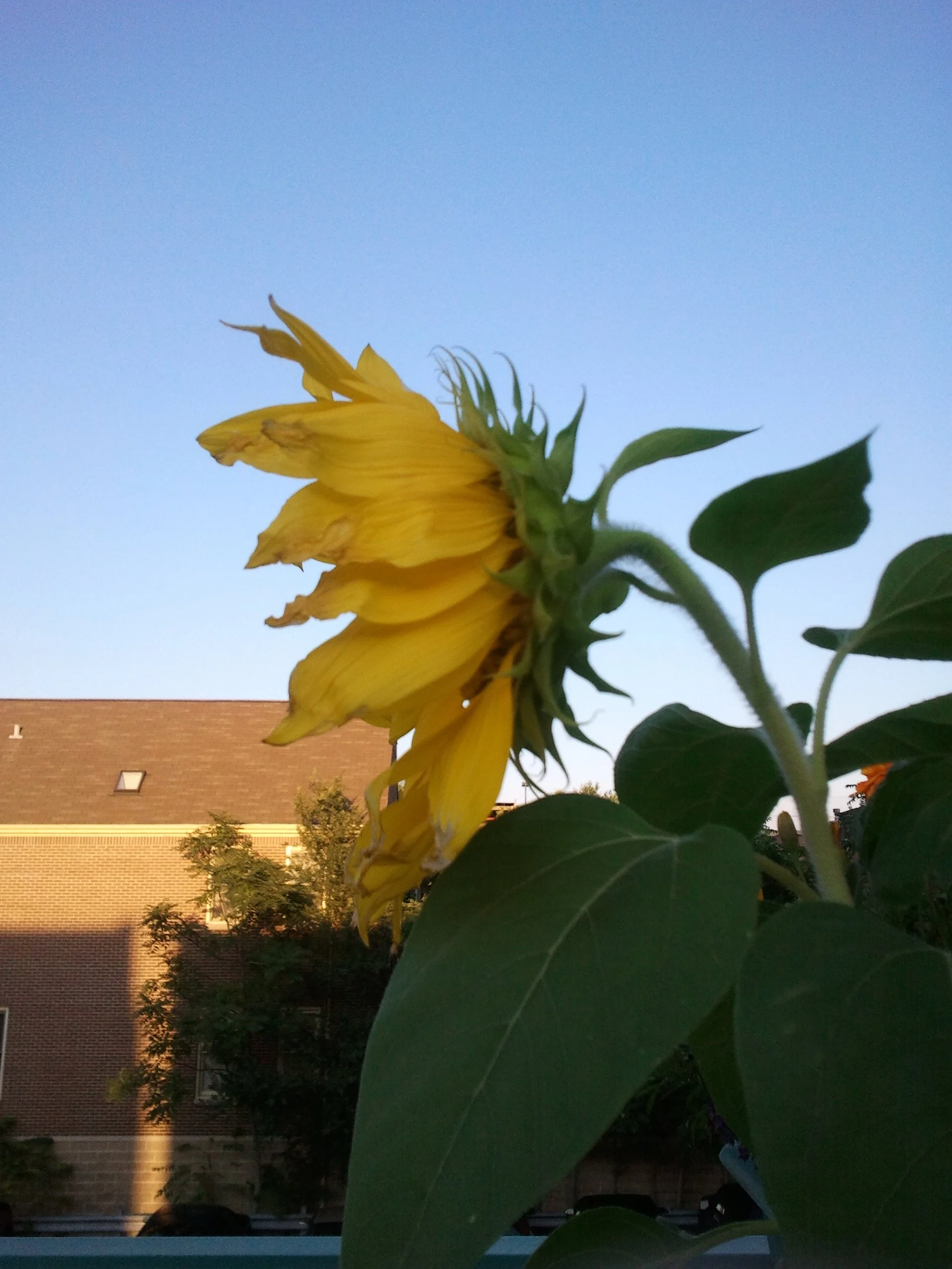 2011-09-11 18.29.33.jpeg