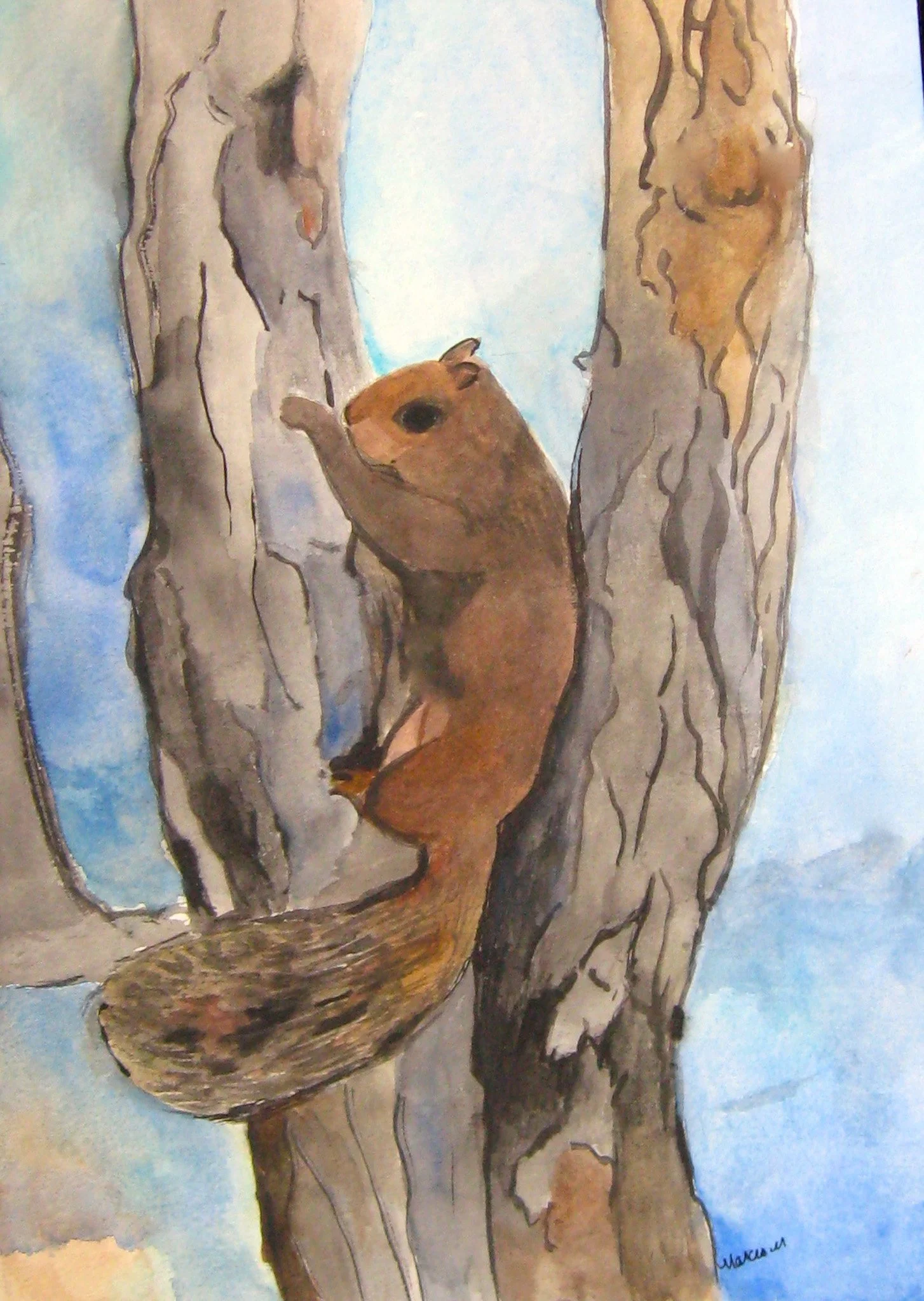 "Squirrel In Portage Park" 2001, Watercolor on paper
