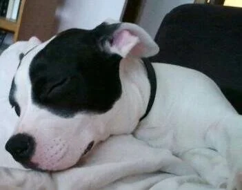 2011-04-05 09.36.45-1-1.jpeg