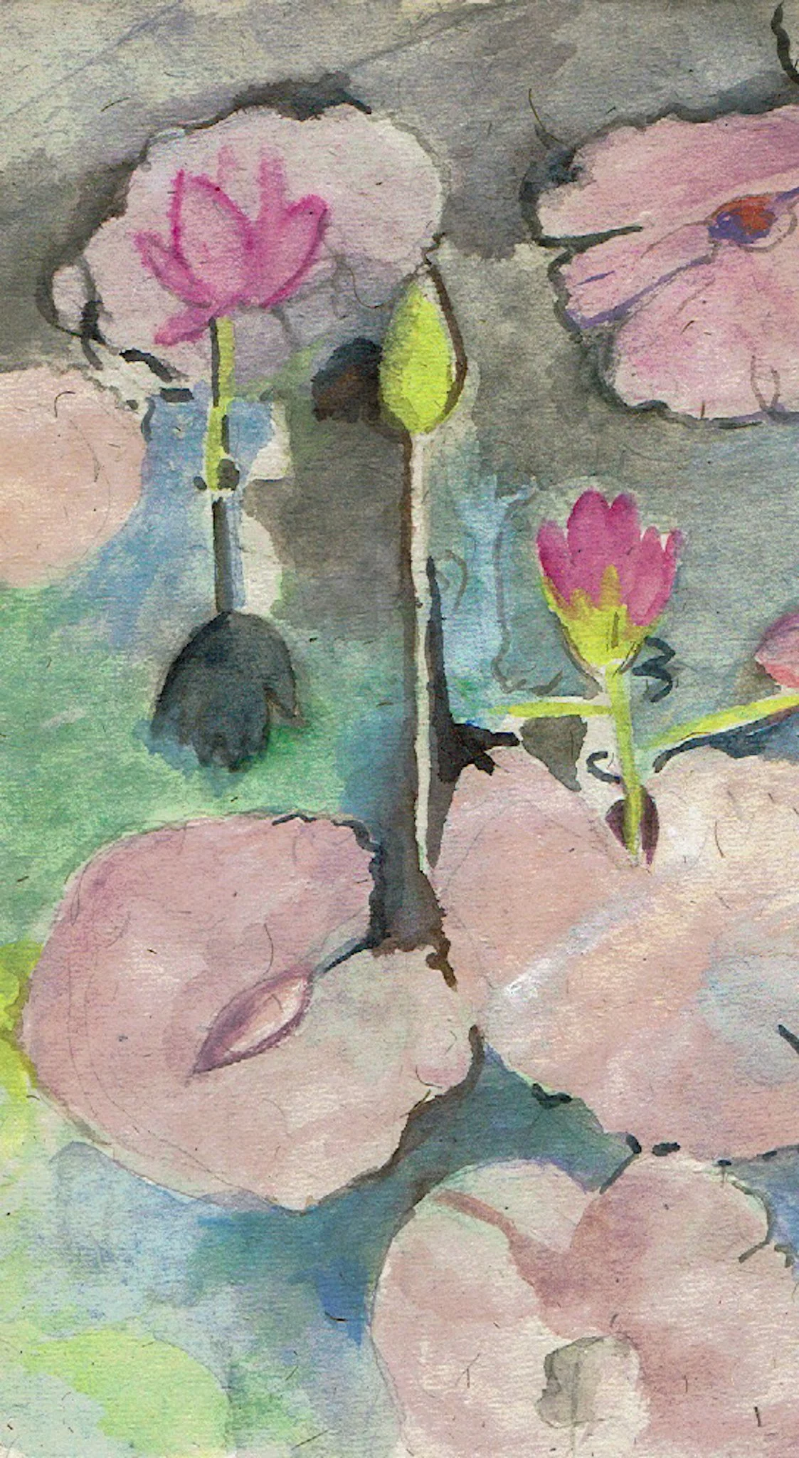 "Lilly Pond 1" 2023, Watercolor on handmade paper from India