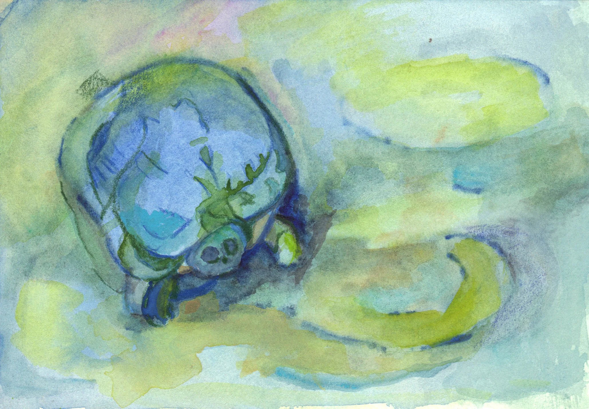 "Mr. Turtle on the Path" 2014, Watercolor on paper