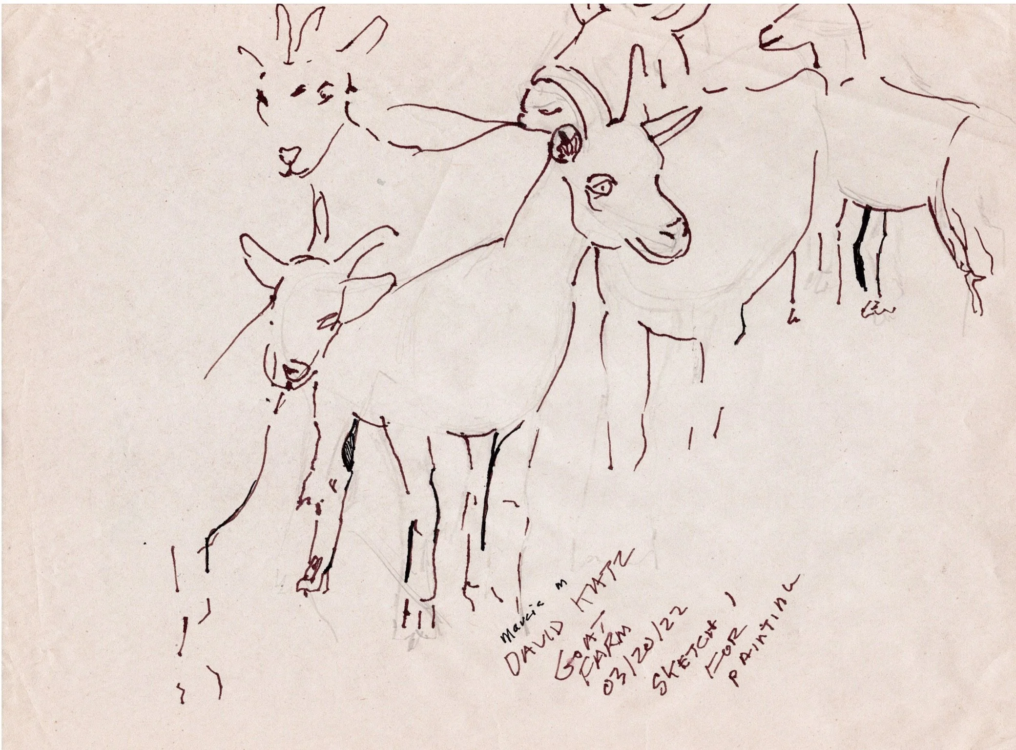 "David's Goats" 2023, Ink on Newsprint, Little River SC