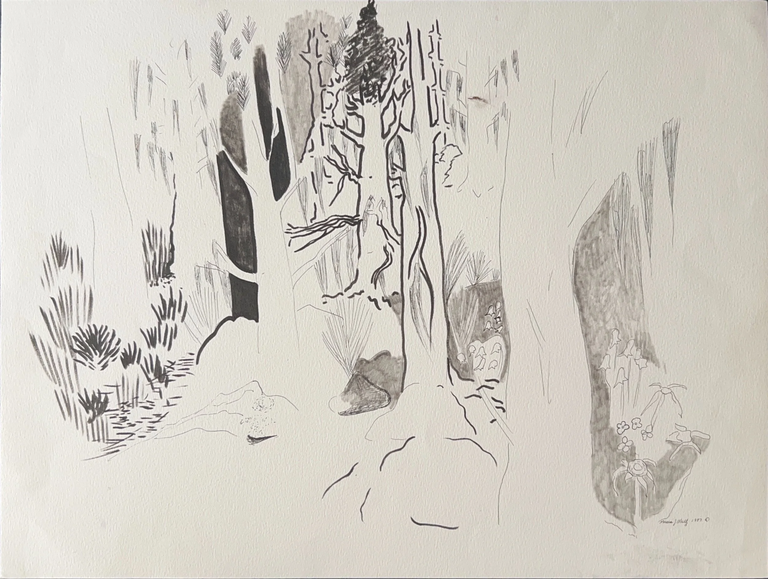"Magical Forest Beyond Color" 1986, Pencil & Watercolor