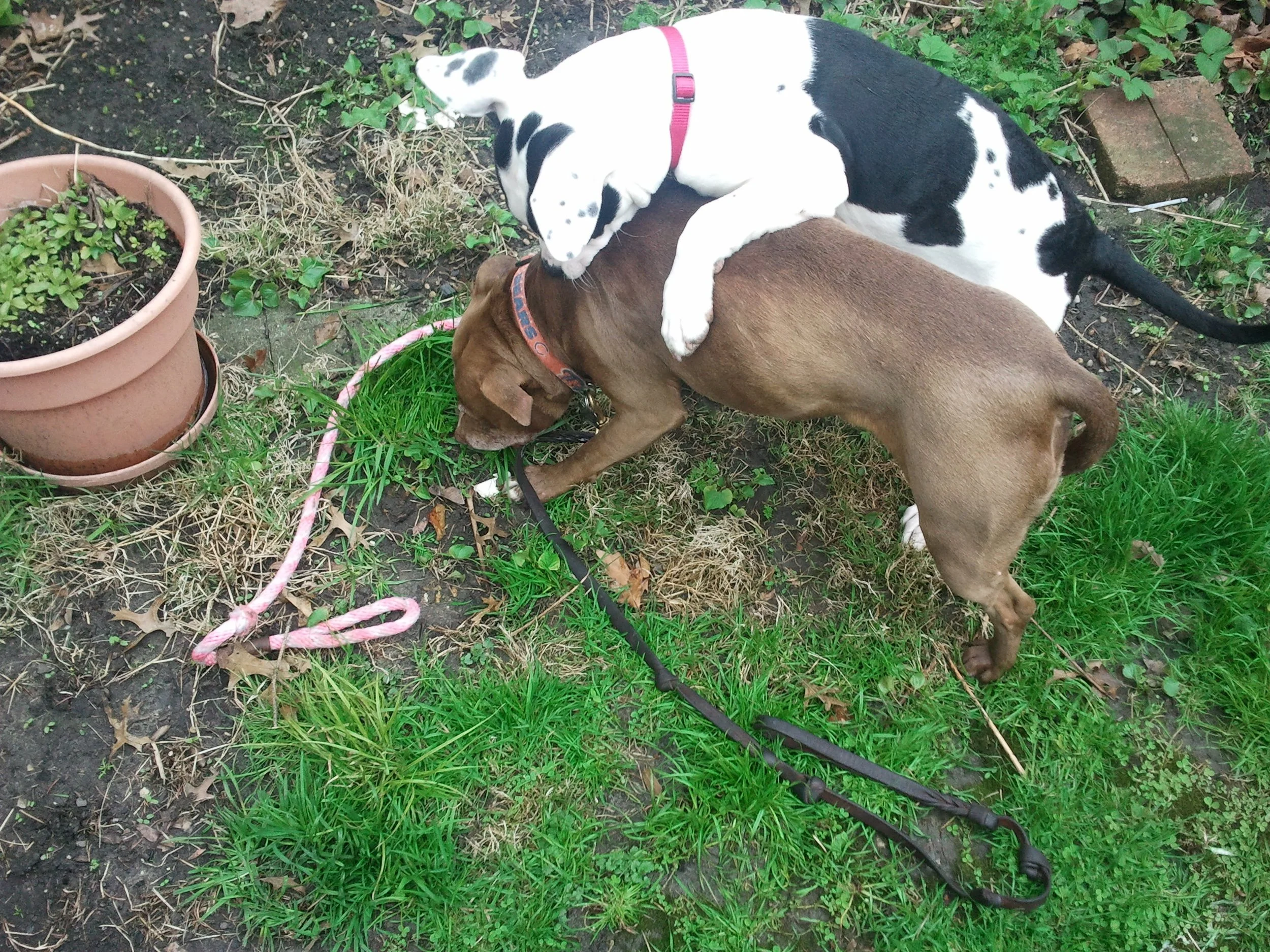 2011-04-26 11.09.54.jpeg