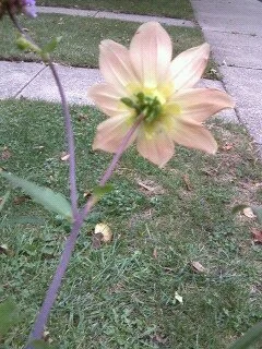 1295733701645 2.jpeg