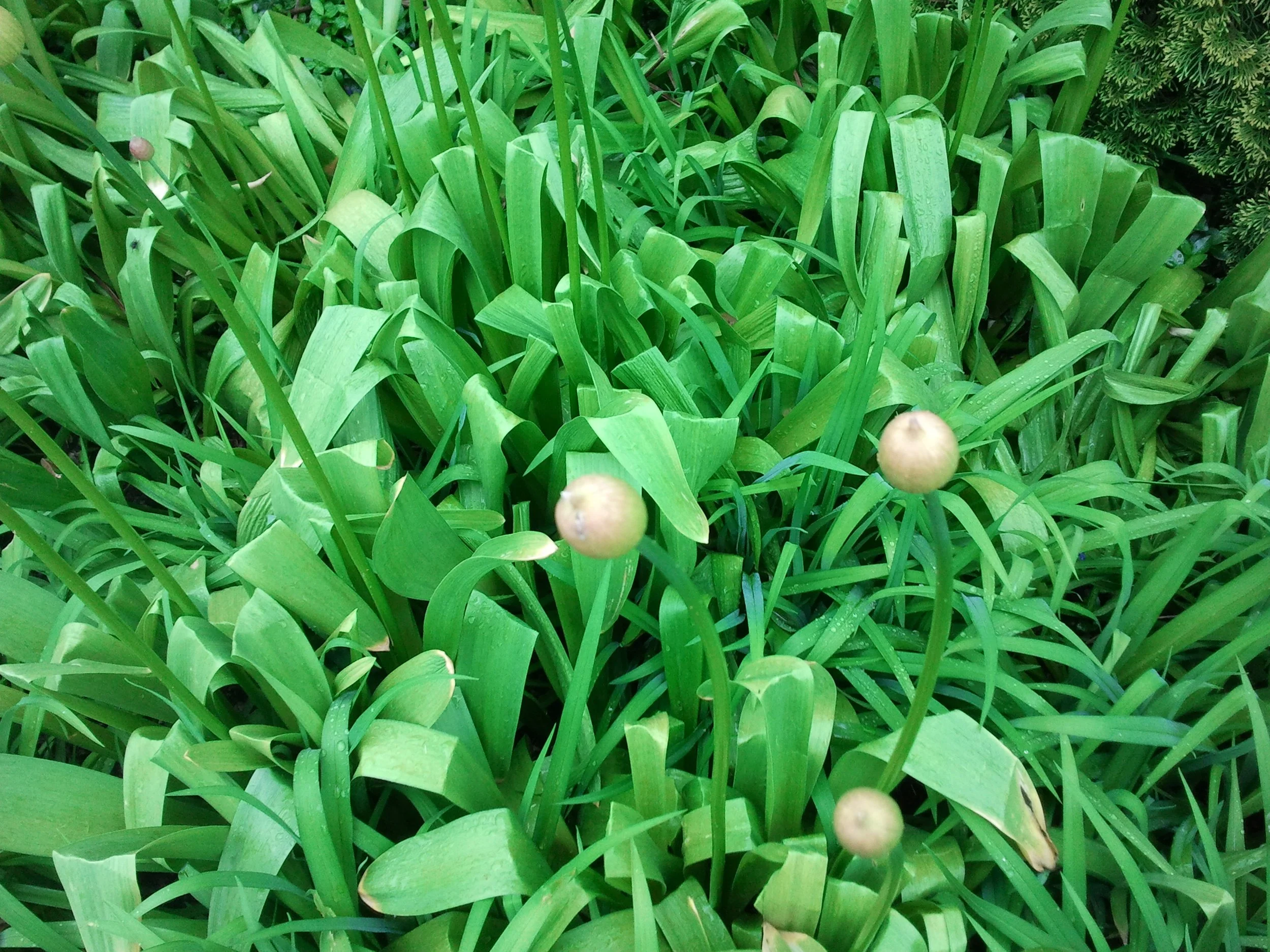 2012-05-02 10.39.30.jpeg