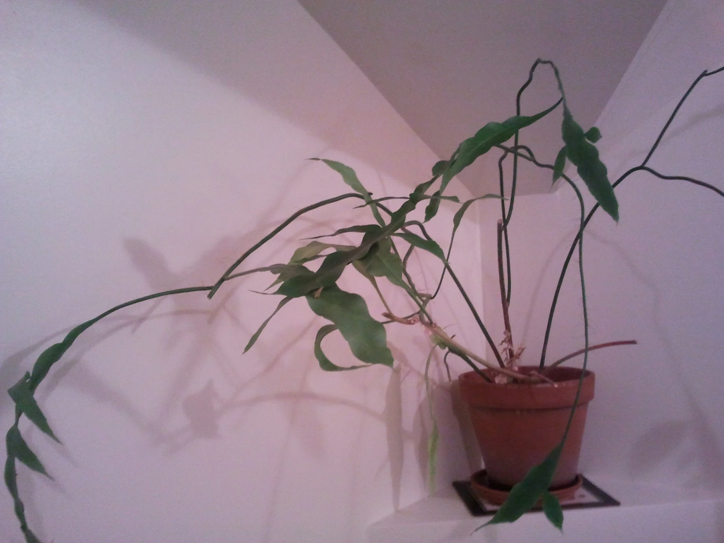 2011-08-17 21.31.53.jpeg