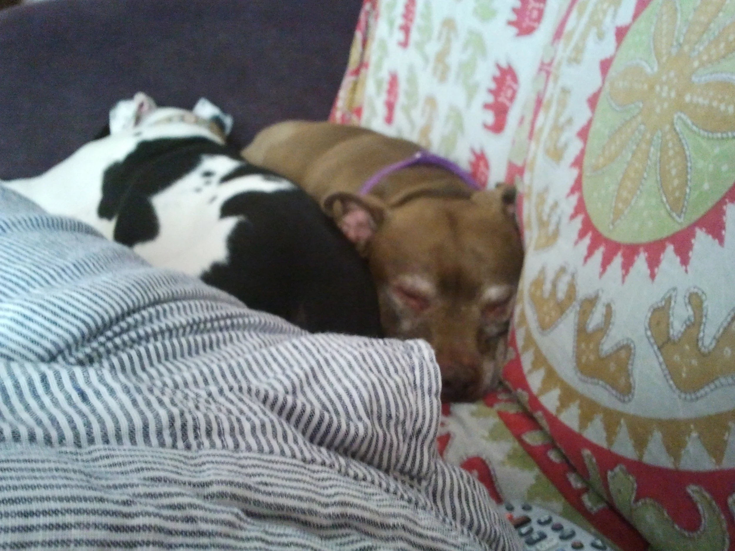 2012-07-01 14.32.27.jpeg