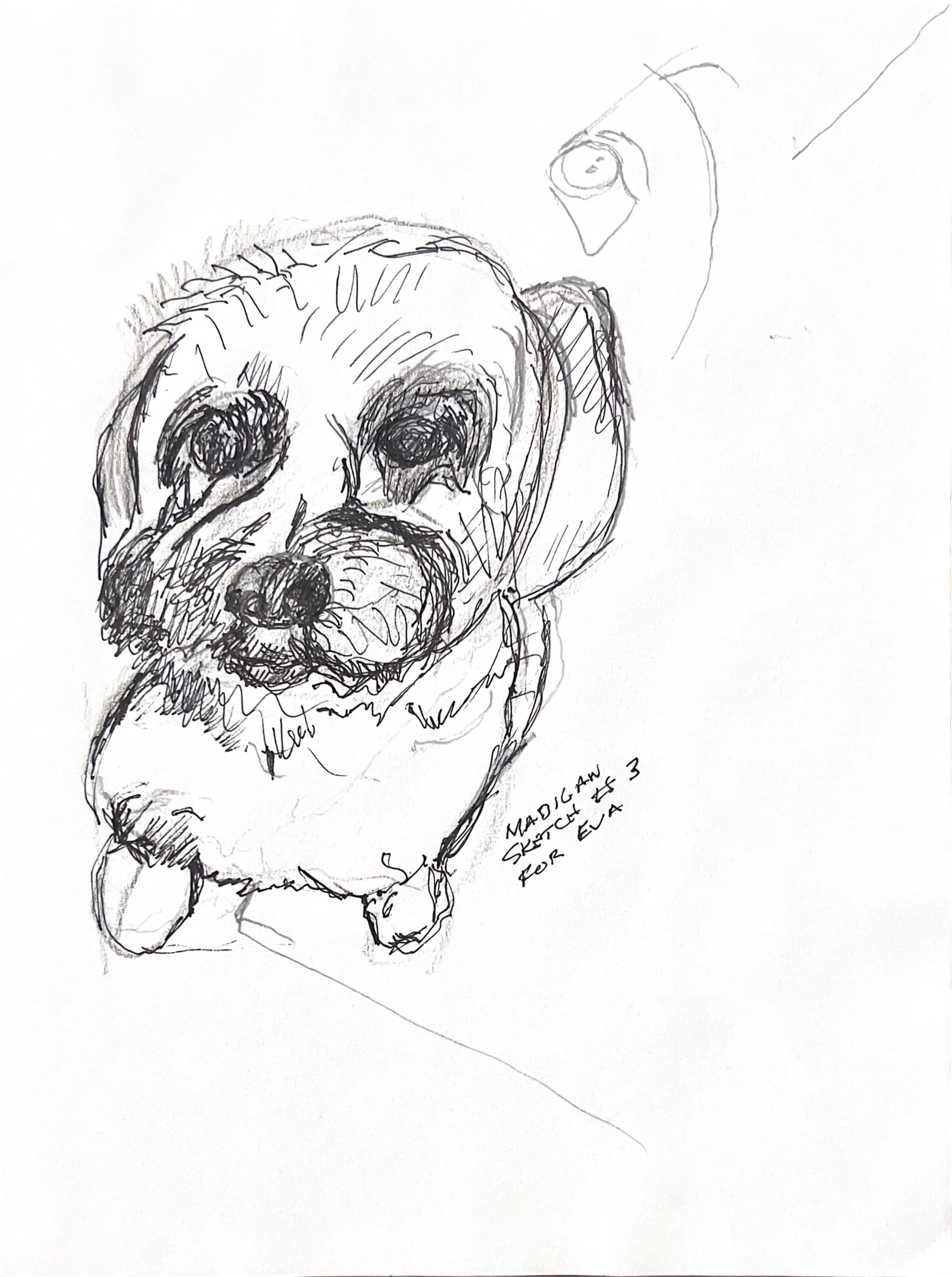 "Madigan" 2023, Pen and pencil on paper