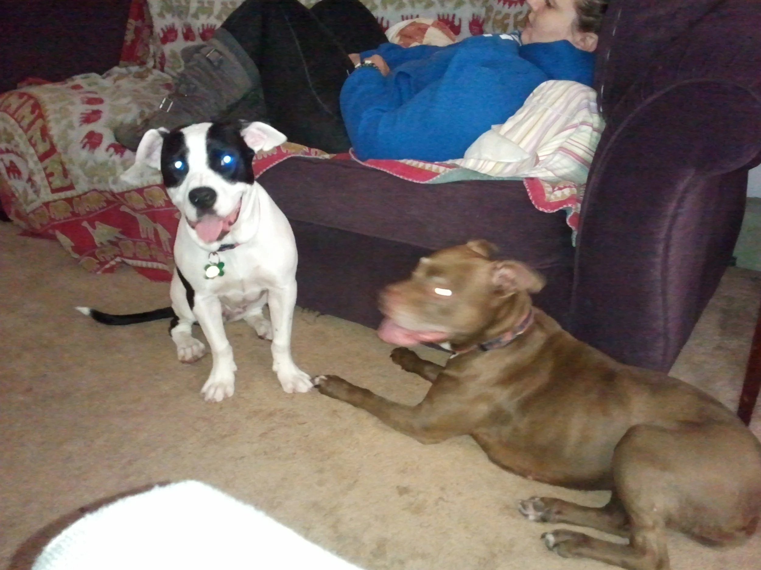 2011-06-09 16.59.59.jpeg