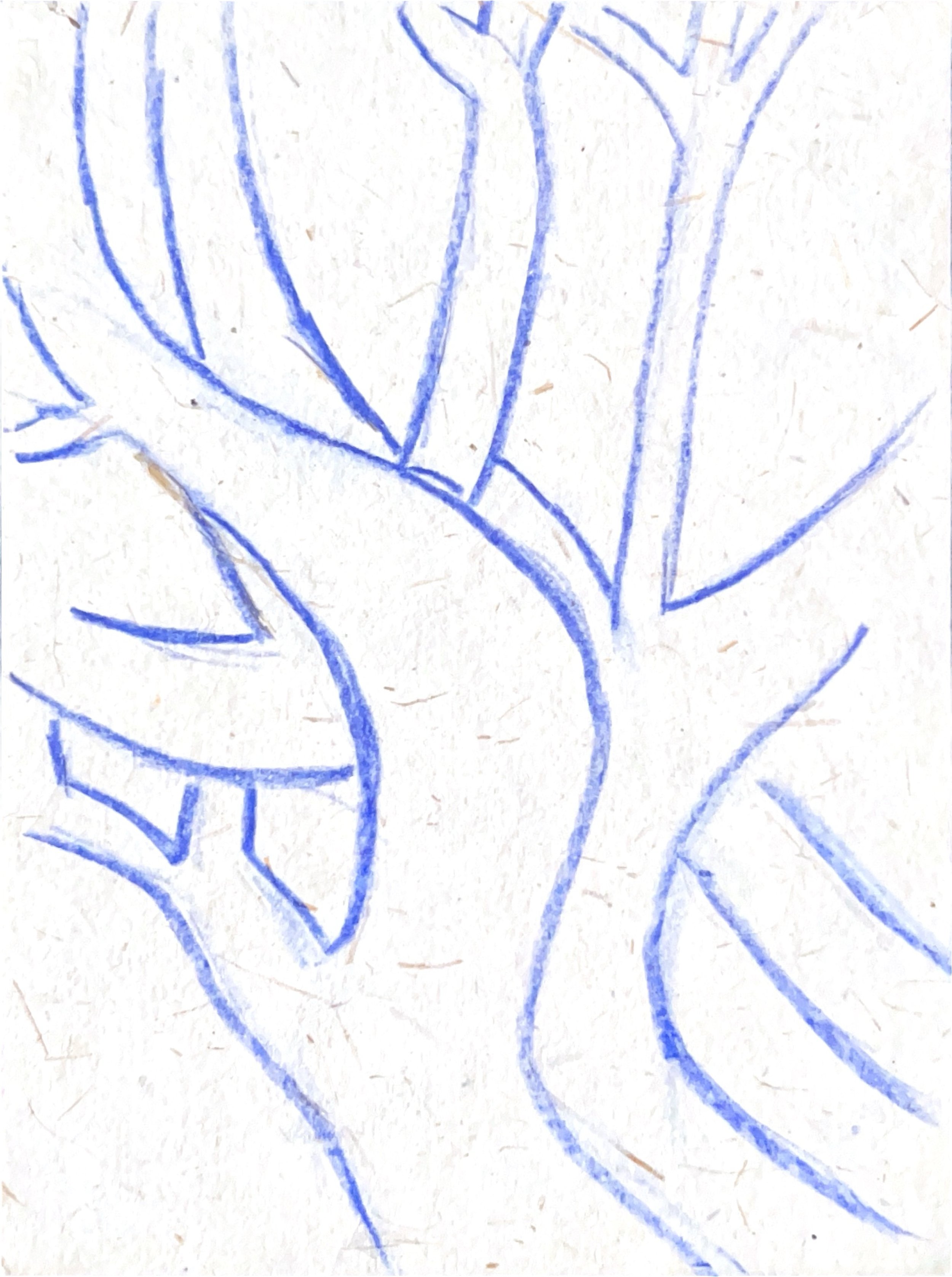 "Trinity of Trees 1" 1990's, Colored pencil on handmade paper from India