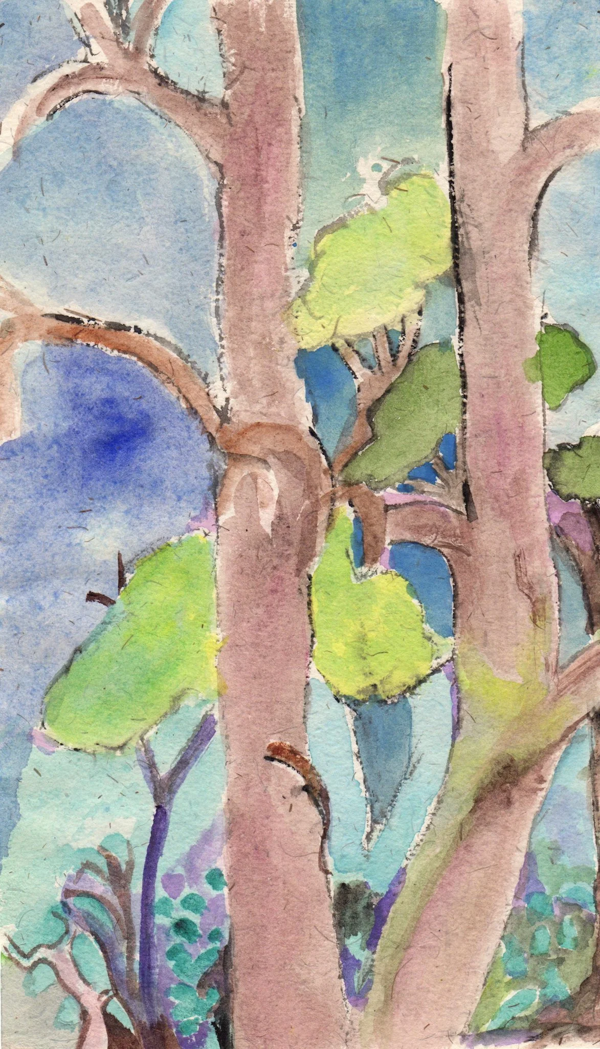 "Lizard In the Tree" 2014, Watercolor on handmade paper from India, Myrtle Beach SC