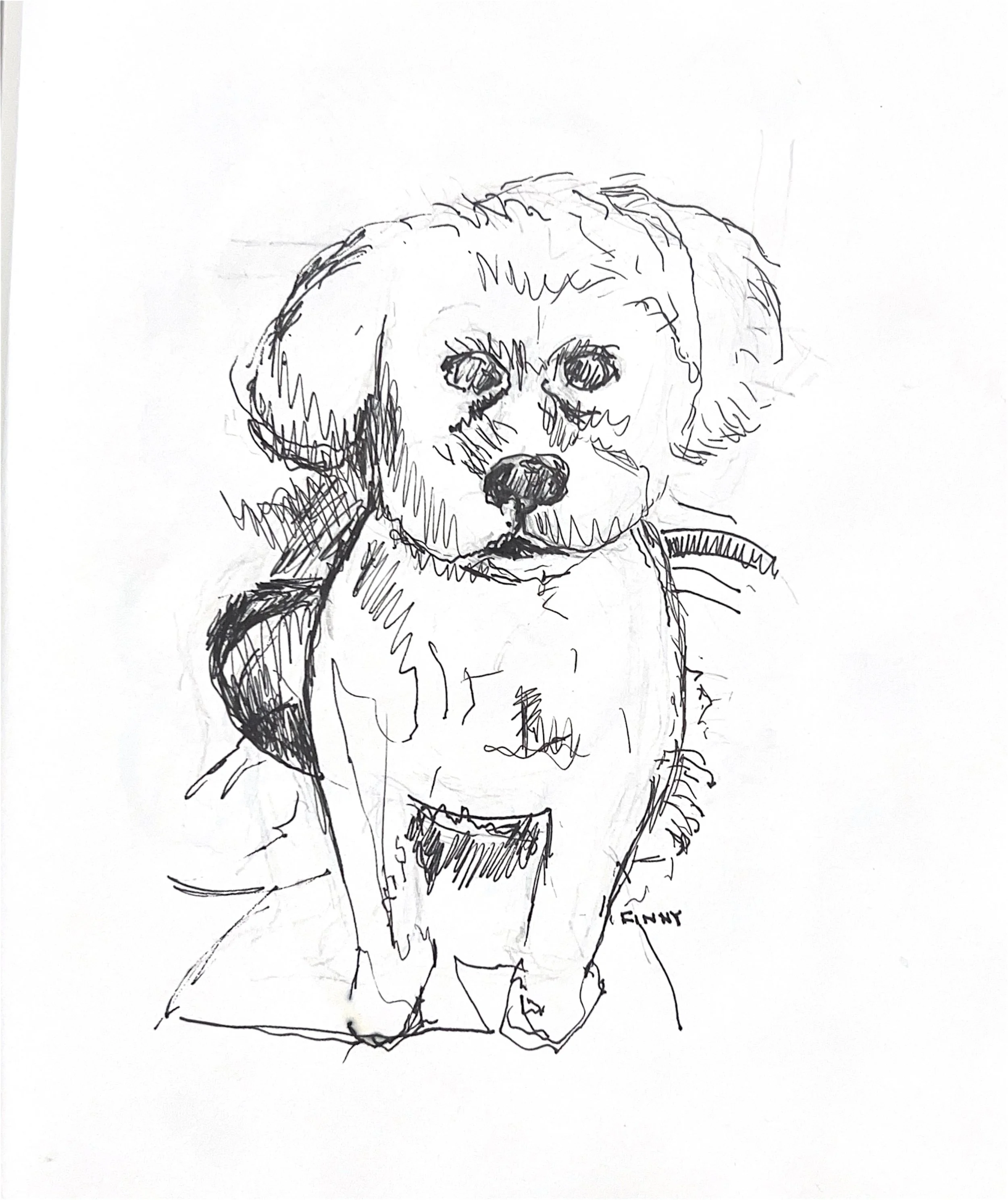 "Finny" 2023, Pencil on paper