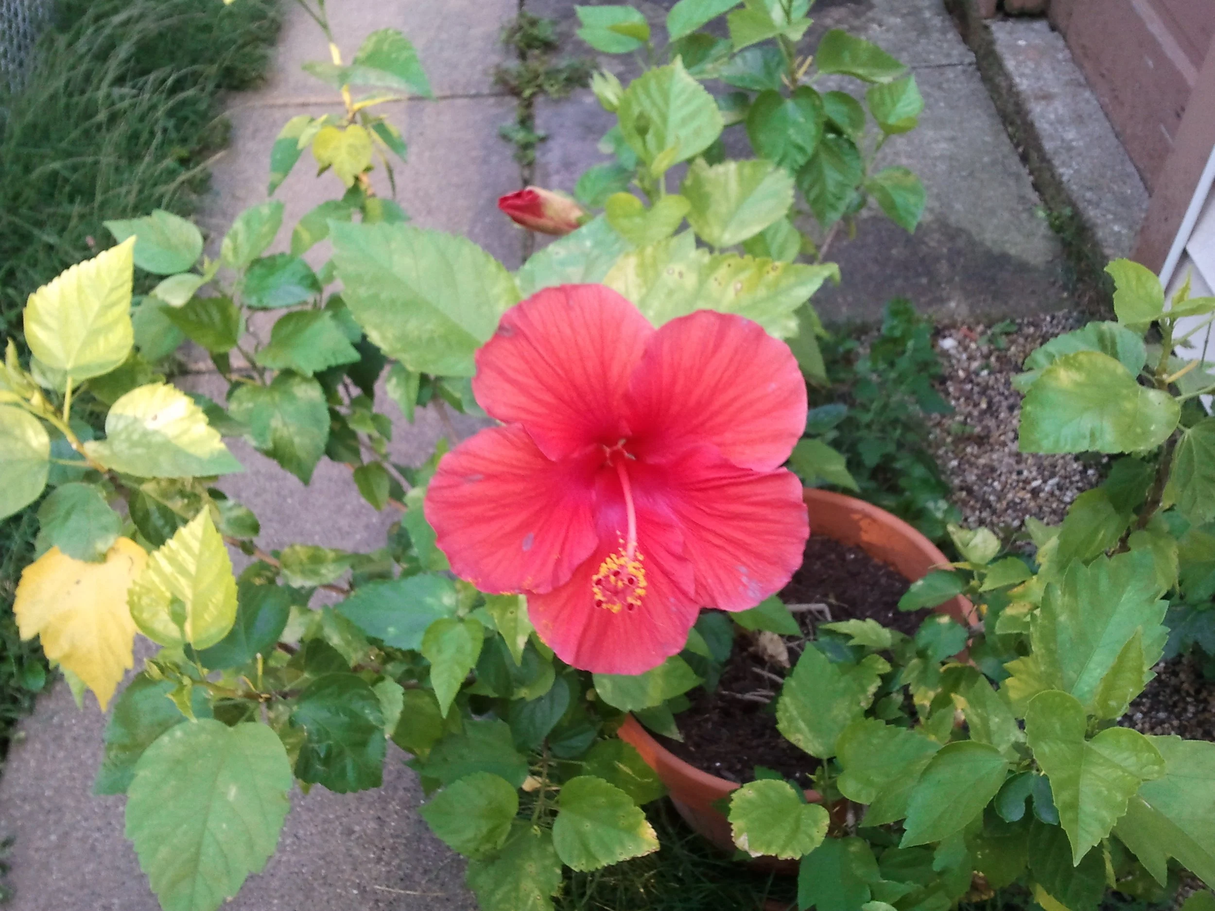 2011-08-31 18.15.23.jpeg