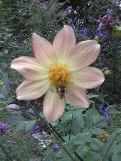 1295733701216 2.jpeg