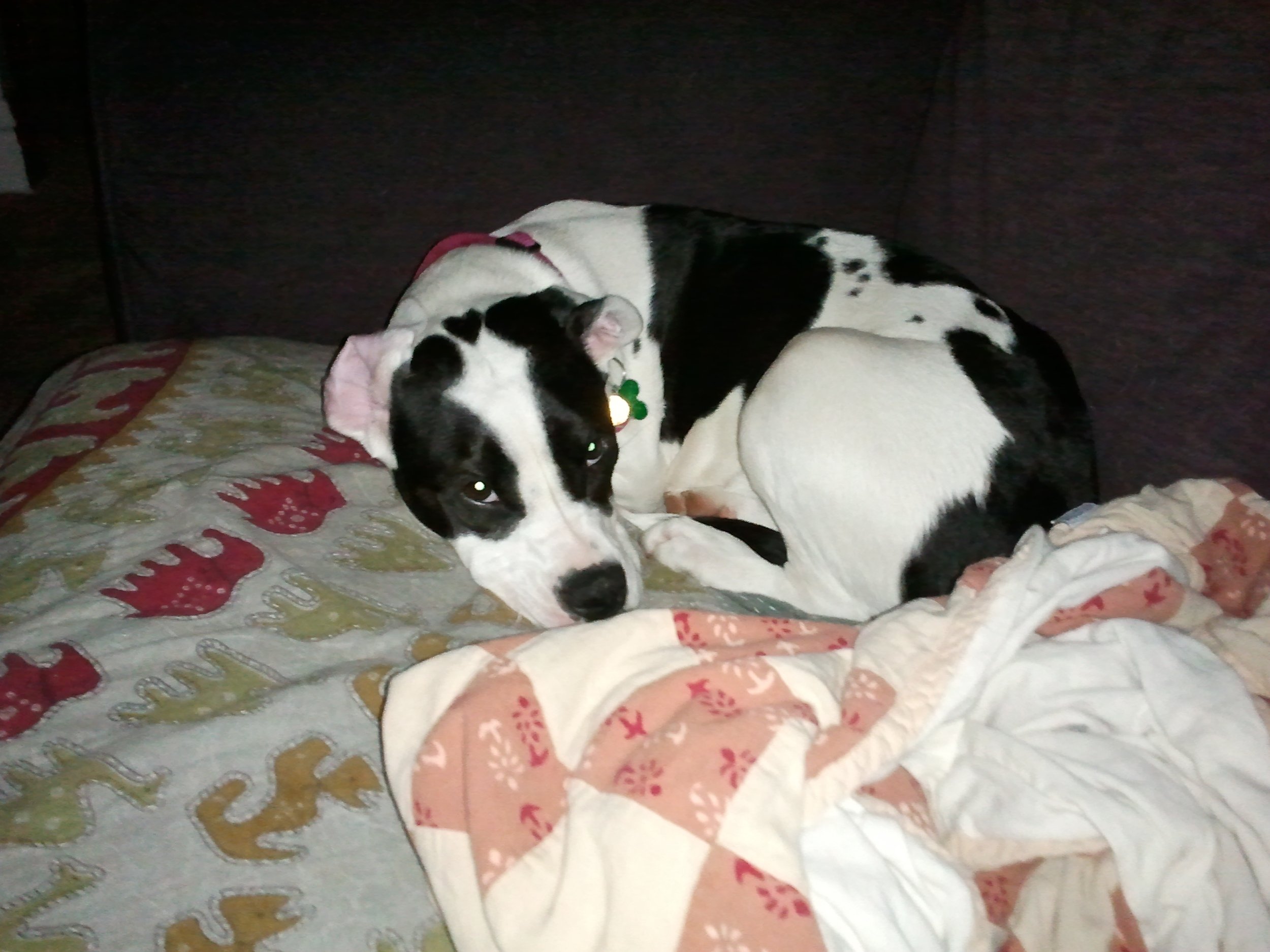 2011-06-11 06.24.42.jpeg