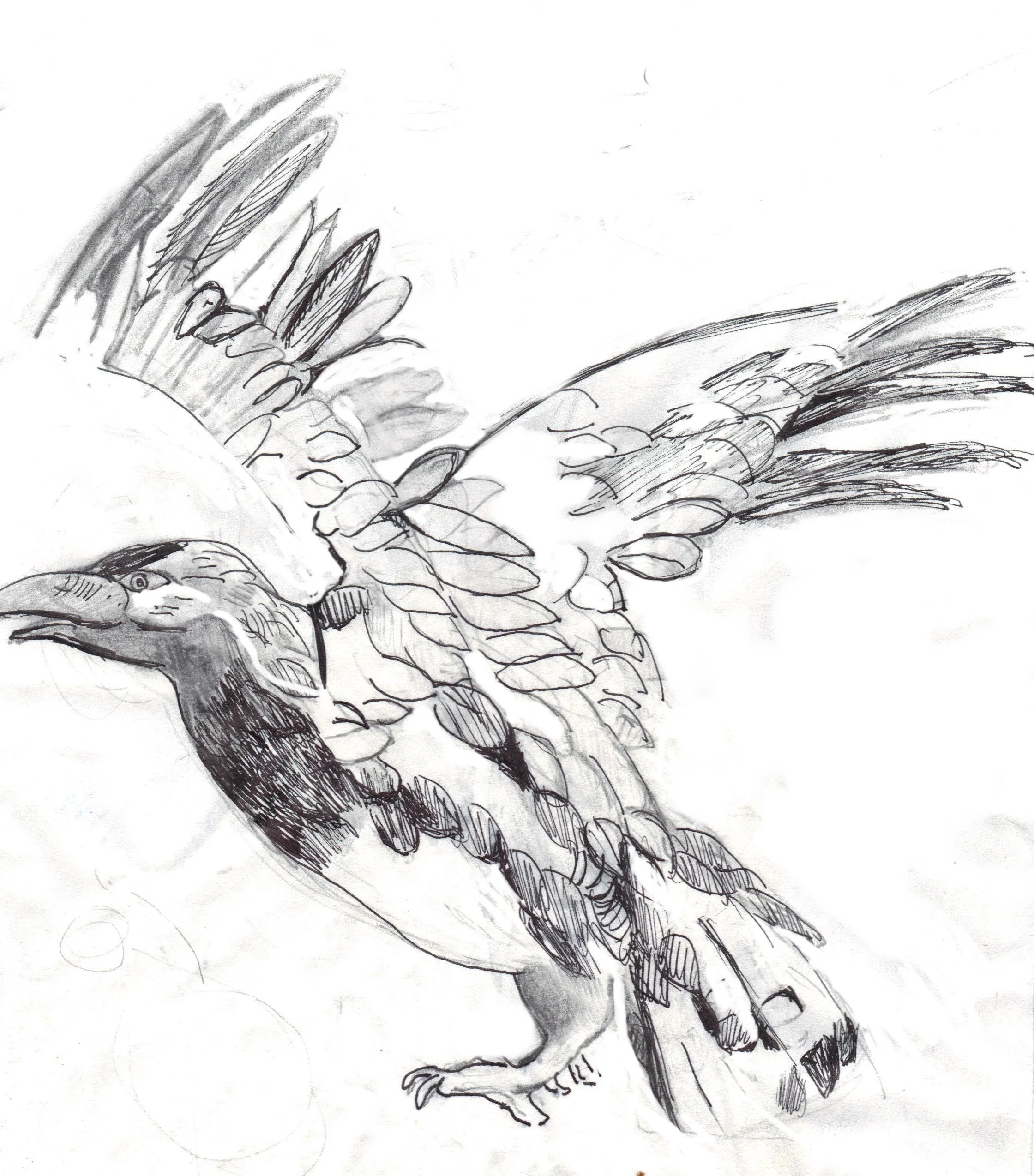 "(Title)" (Date), Pen & pencil on paper