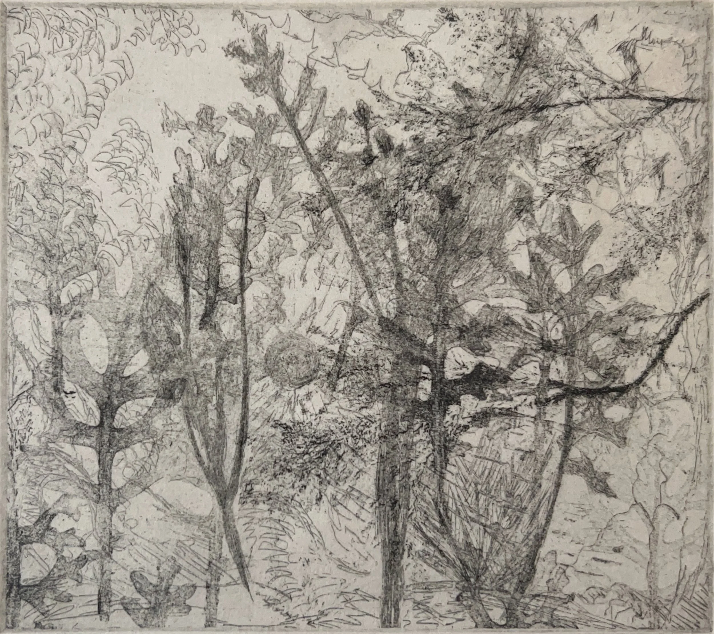 "Forest" 1980's, Lithograph on paper