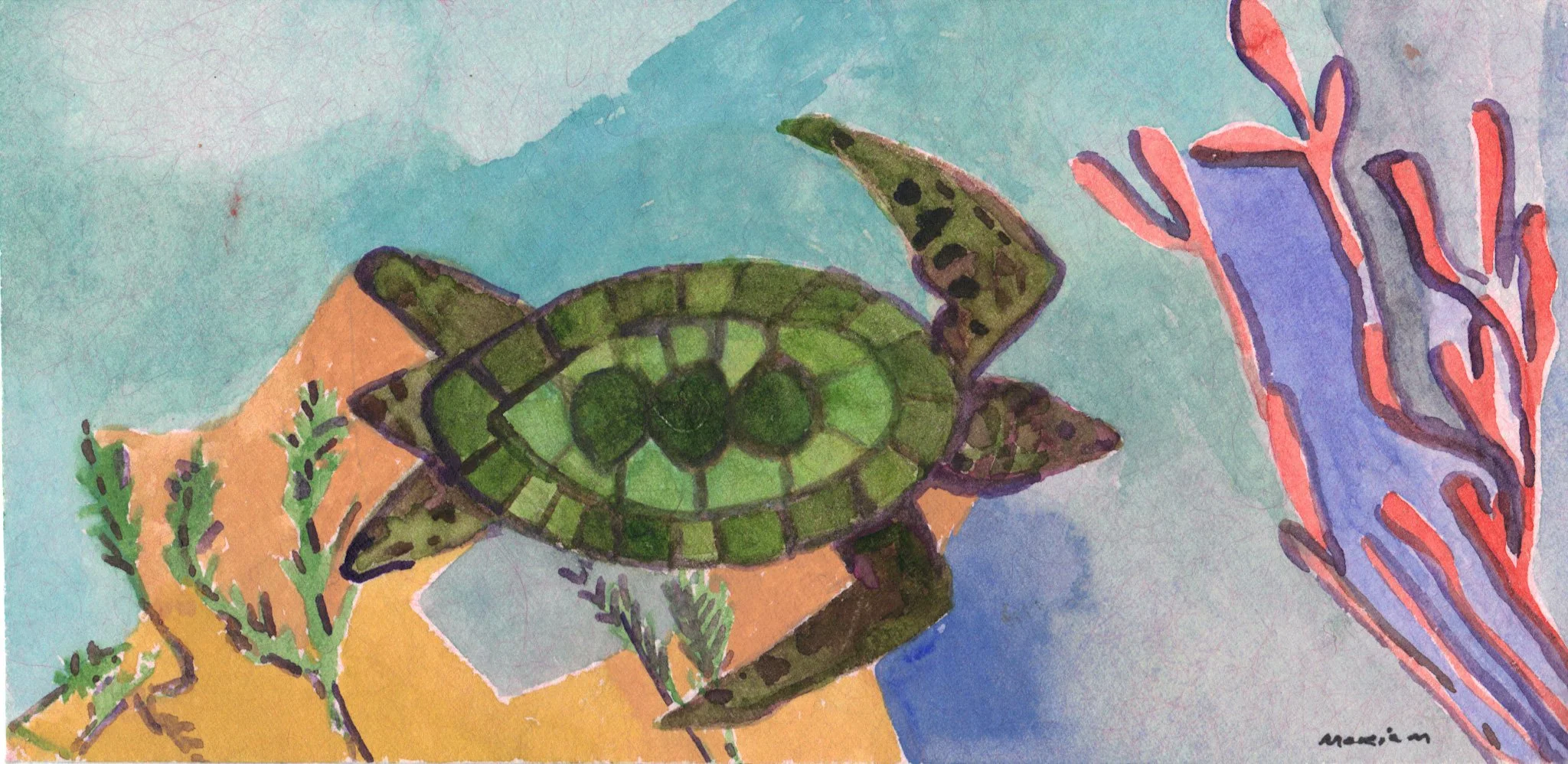 "Sea Turtle 1" 2010, Watercolor on envelope