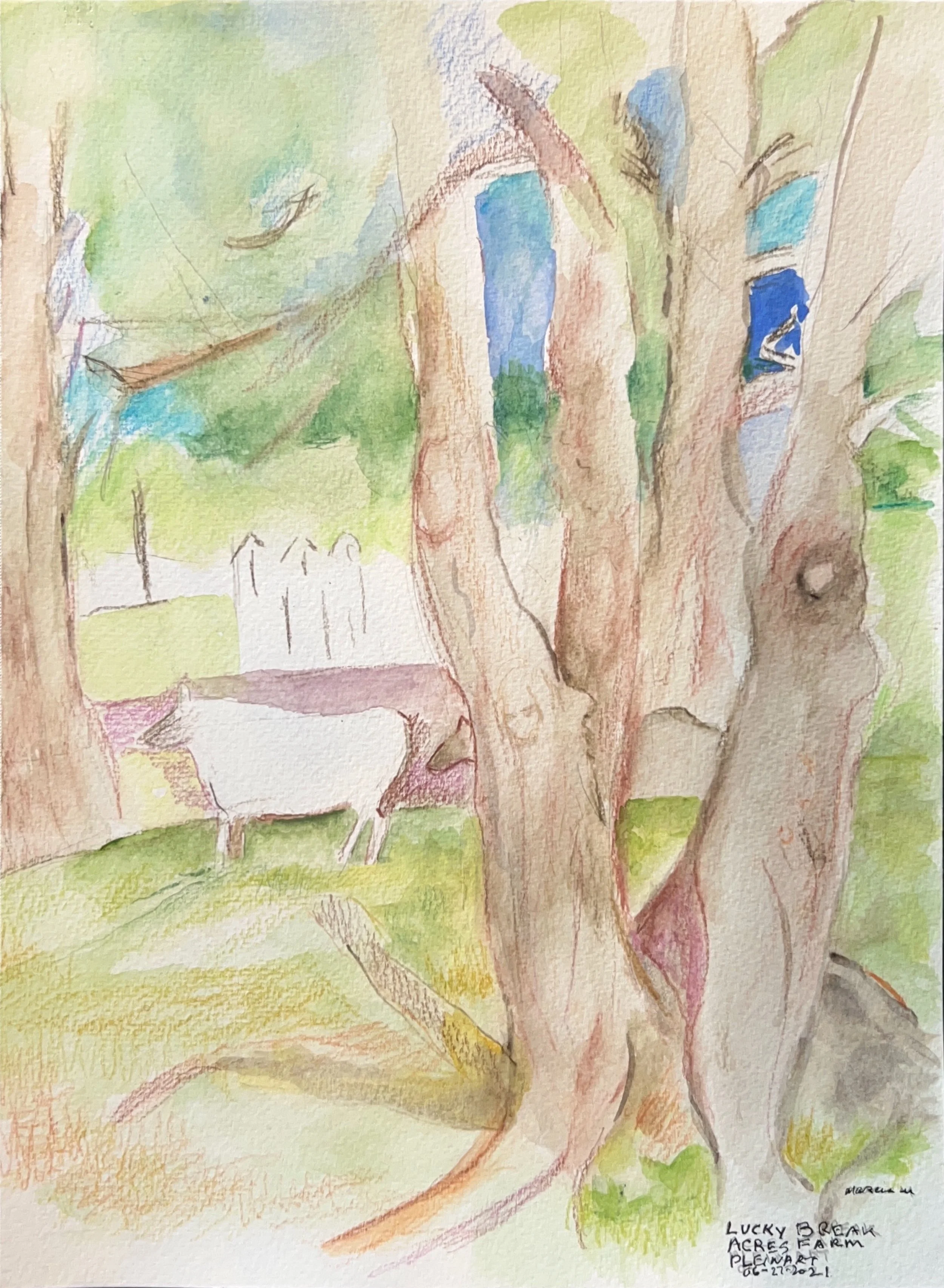 "Lucky Break Acres Farm" 6/2021, Watercolor on paper
