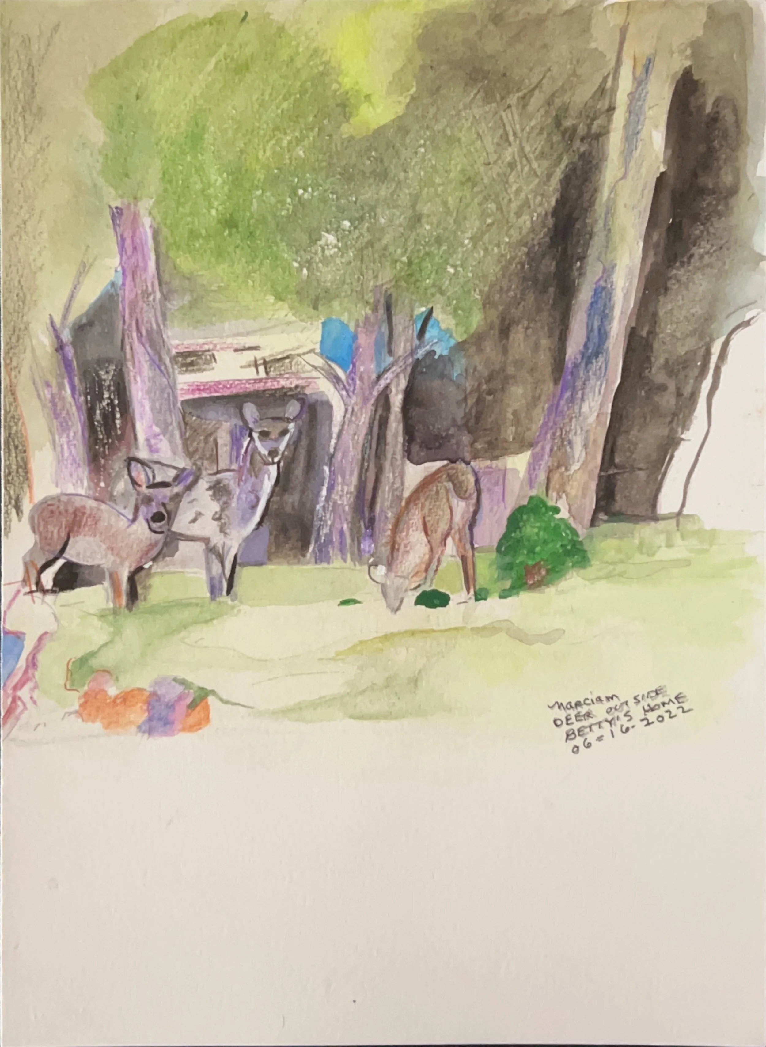 "Dear Outside Betty’s Home" 6/2022, Watercolor on paper