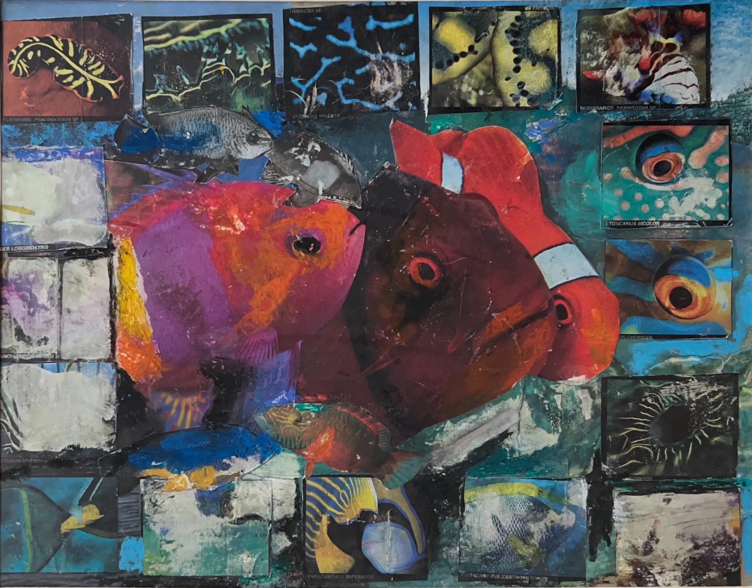 "3 Fish Collage" 2018, Collage & acrylic on illustration board