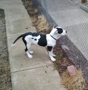 2011-04-08 17.49.26-1.jpeg