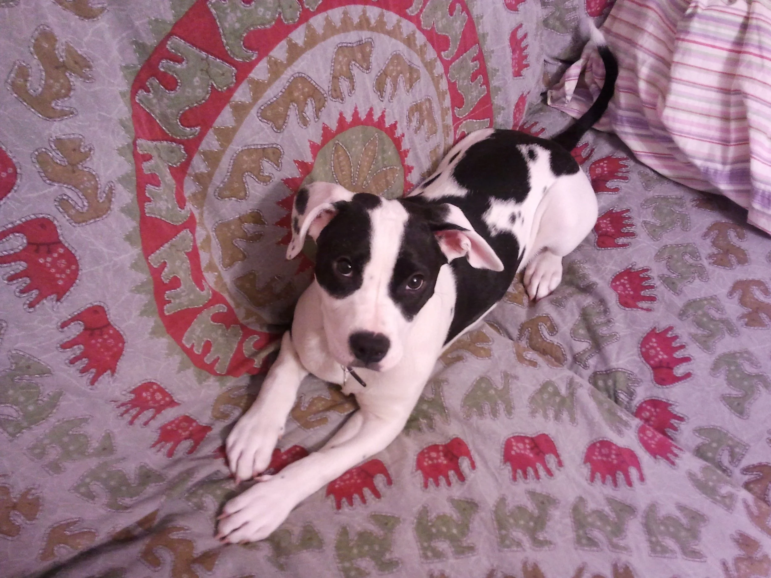 2011-03-28 19.43.27.jpeg