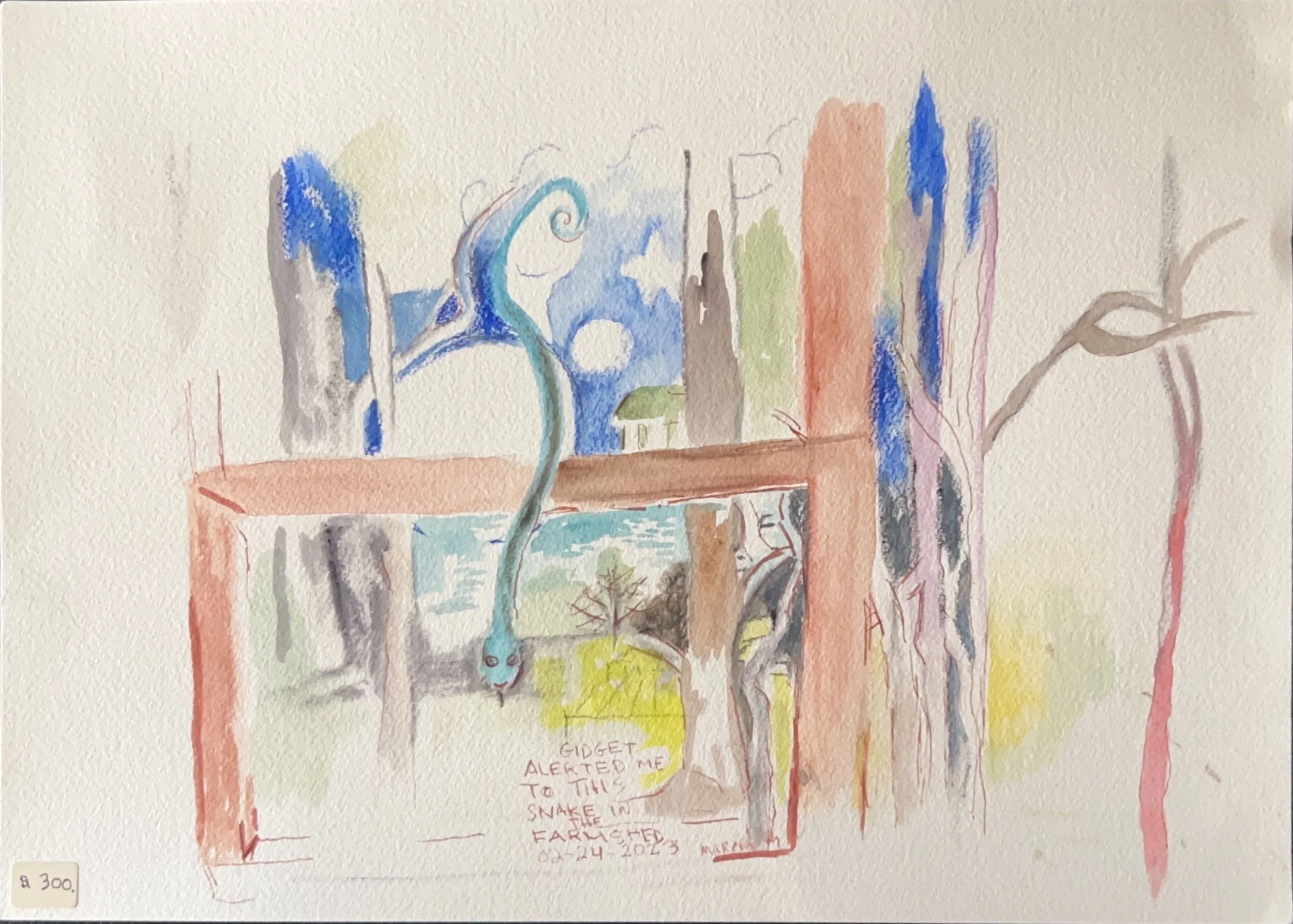 "Gidget Alerted Me to the Snake in the Farm Shed" 2023, Watercolor on paper