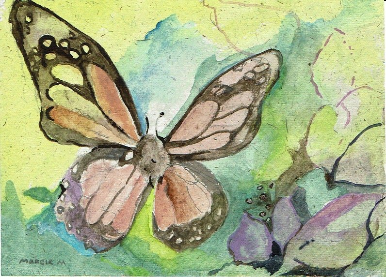 "Monarch" 2022, Watercolor on paper, Butterfly Exhibit, Chicago Botanic Garden
